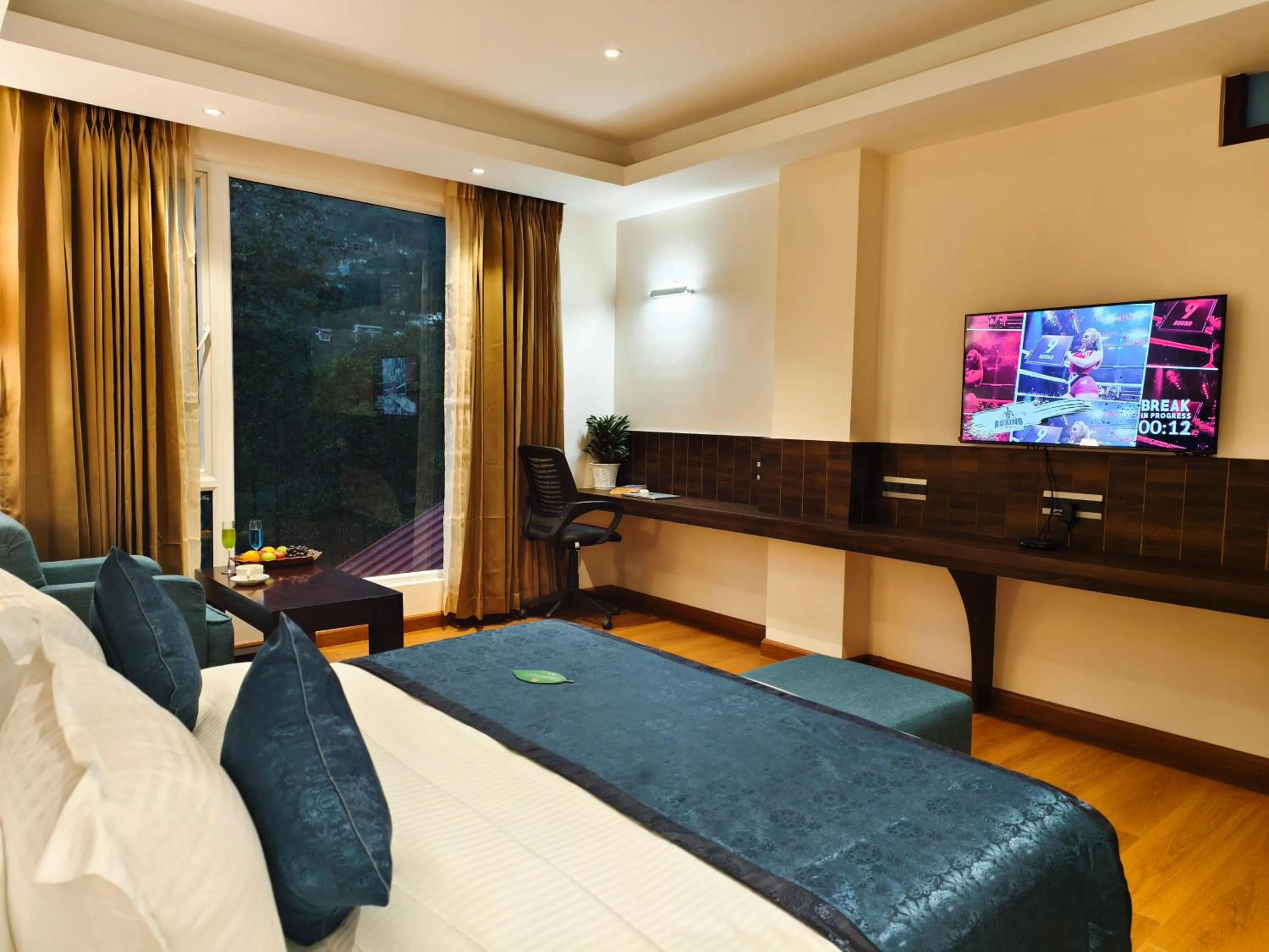TV and multimedia in Clarion Hotel De Renees Gangtok