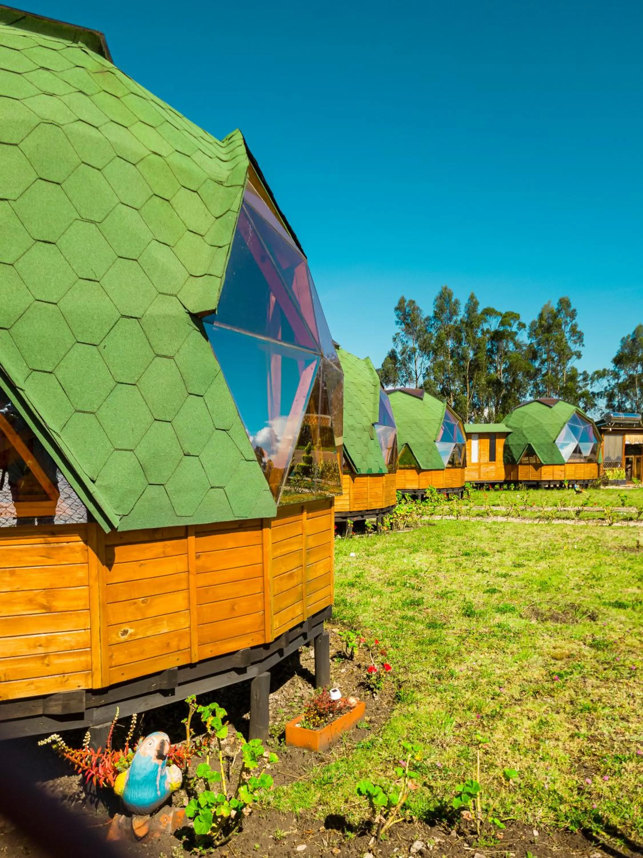 Garden view in Hotel La Libertad