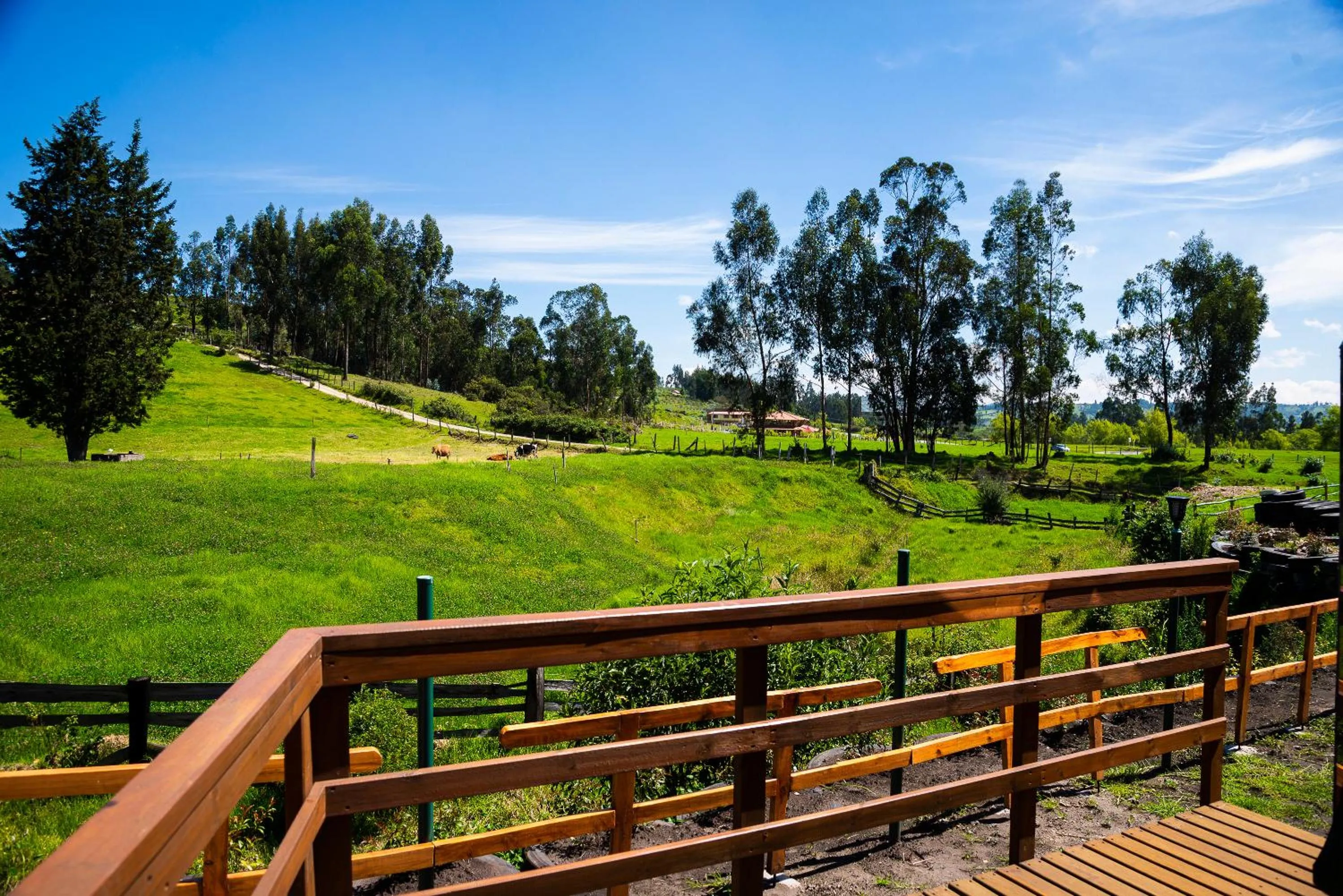 Off site in Hotel La Libertad