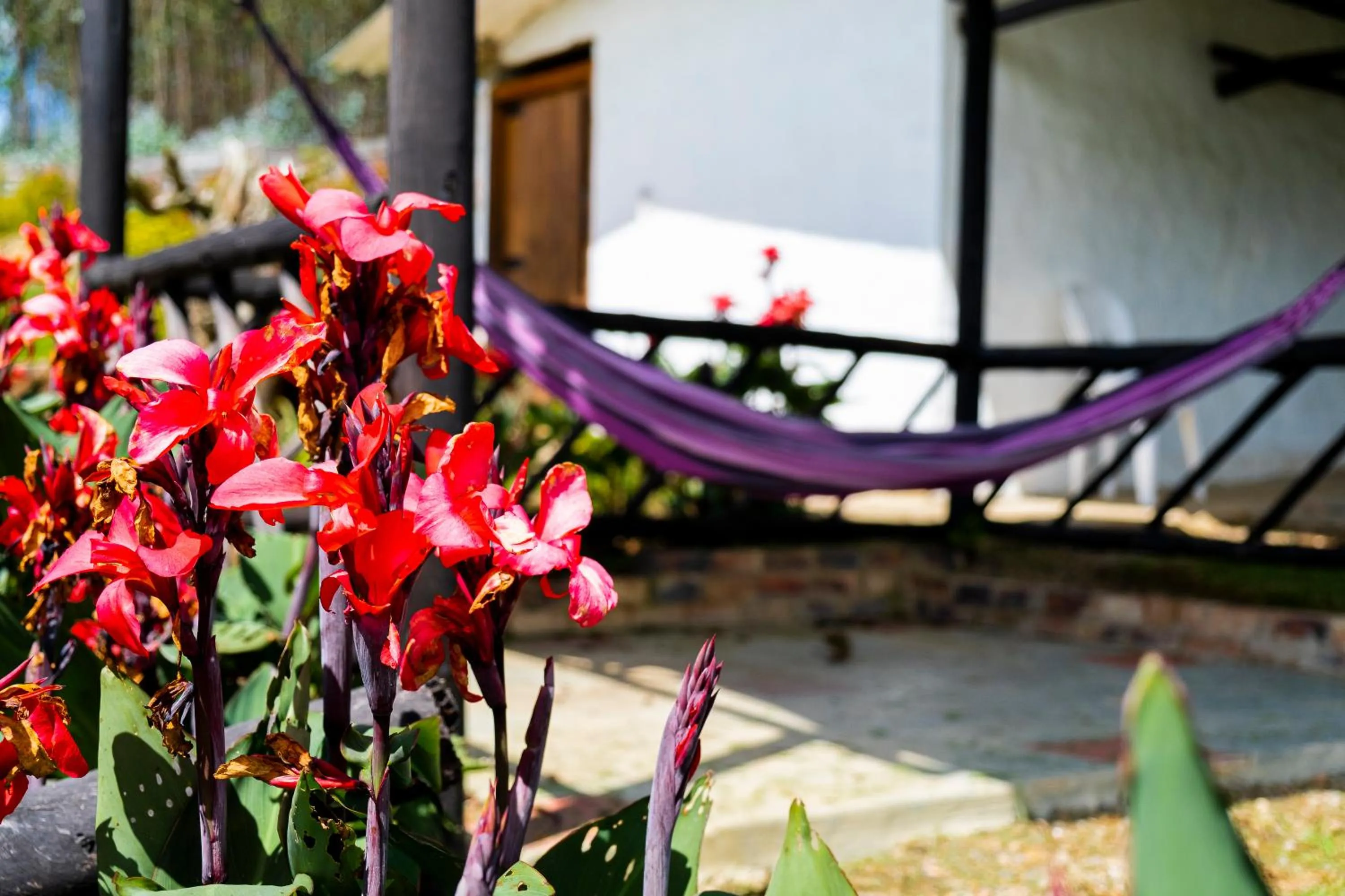 Patio in Hotel La Libertad