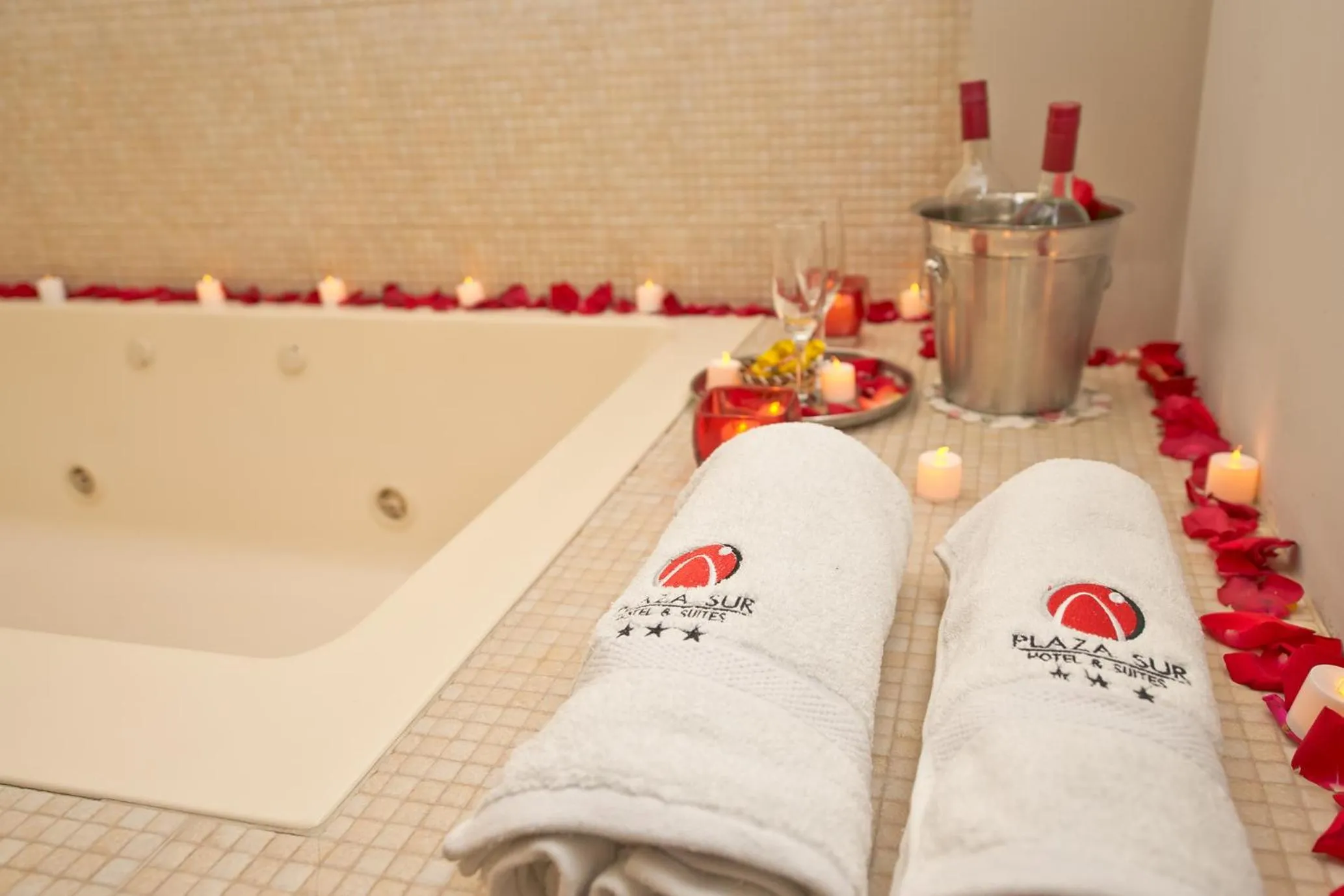 Plaza Sur Hotel & Suites