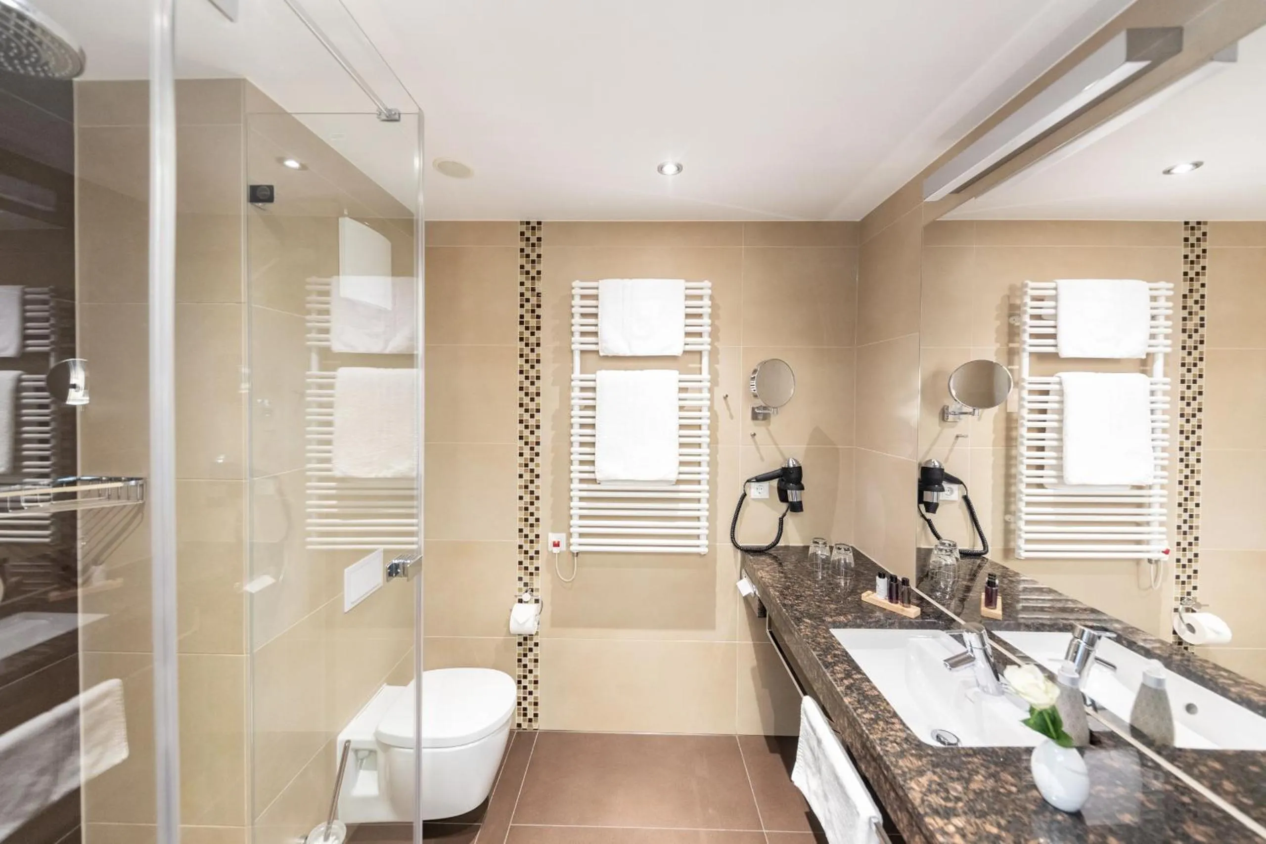 Double Room in Hotel HASEN