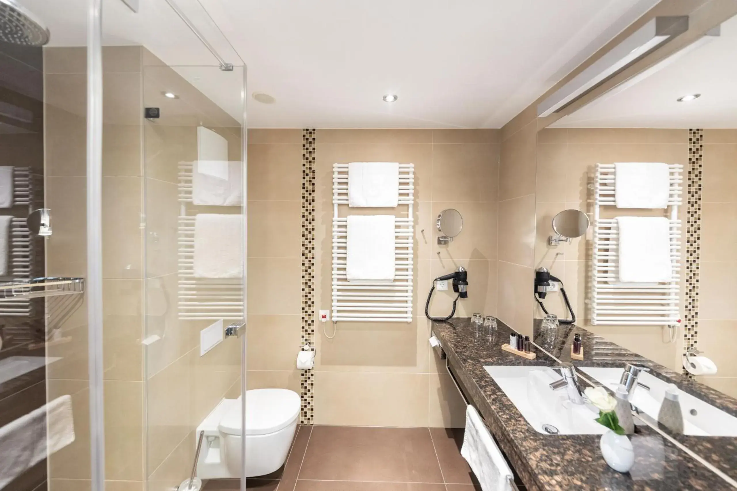 Double Room in Hotel HASEN Double Room in Hotel HASEN