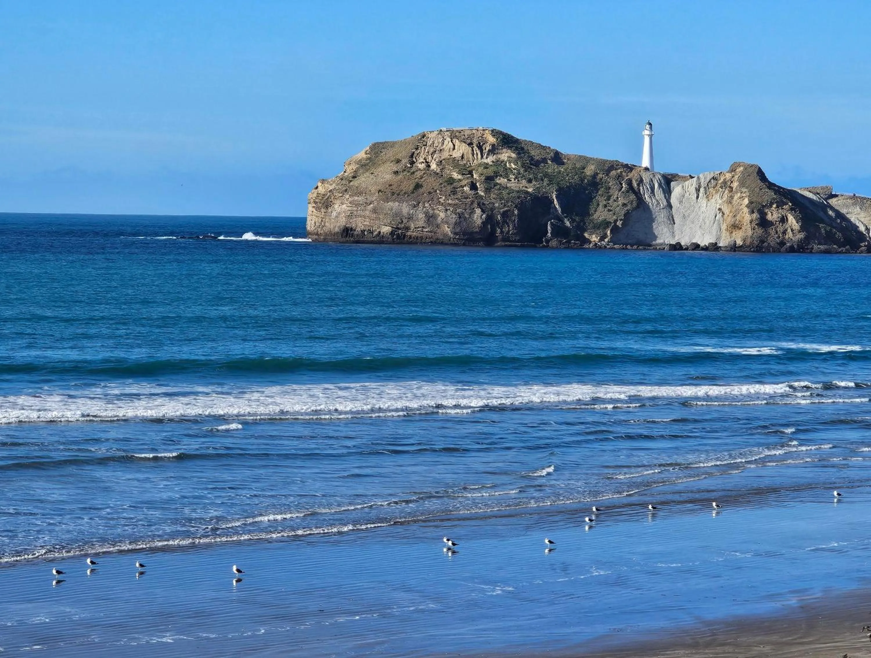 Castlepoint Holiday Park & Motels