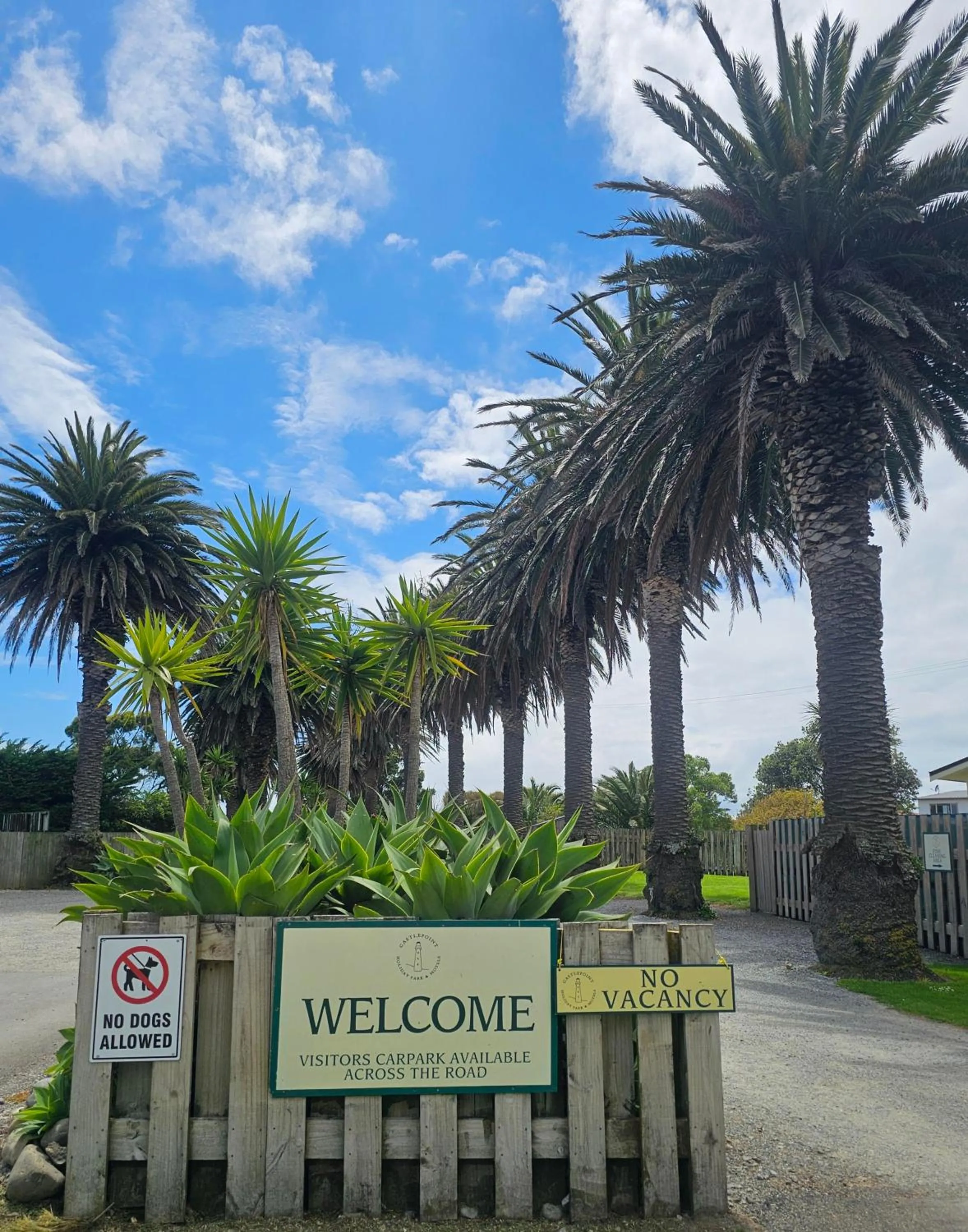 Castlepoint Holiday Park & Motels