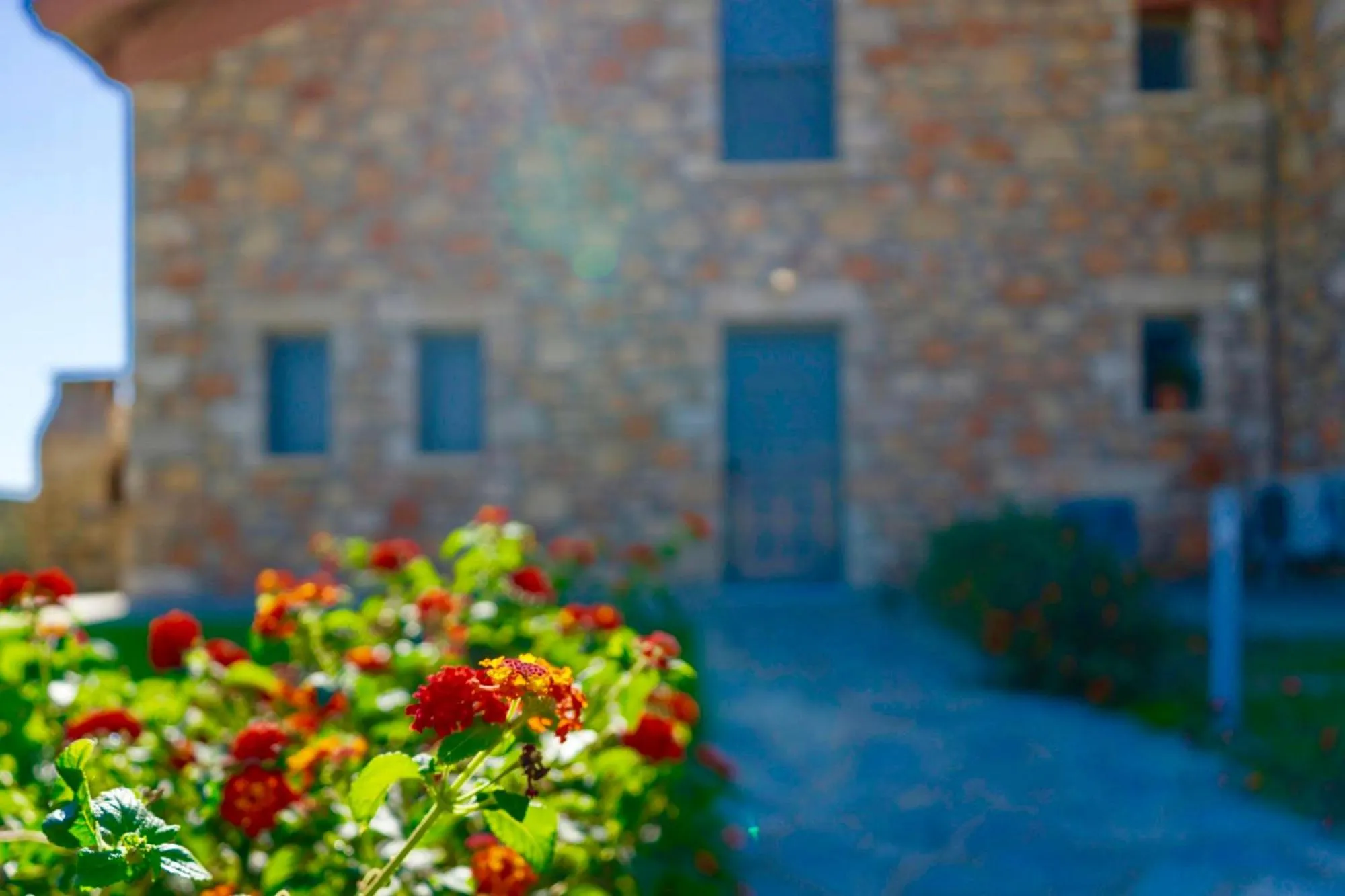 Day in Estrella Villas