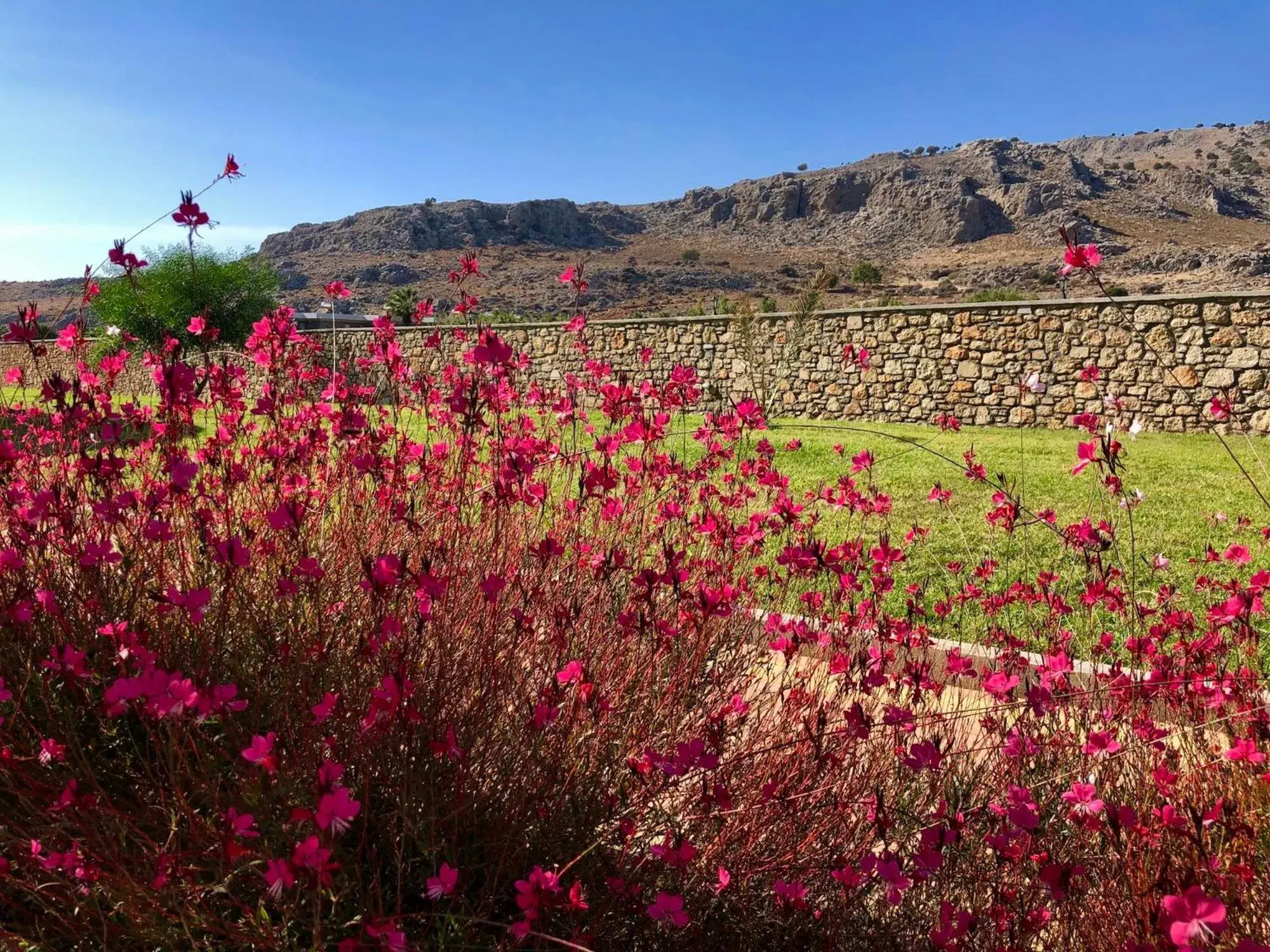 Day in Estrella Villas Day in Estrella Villas