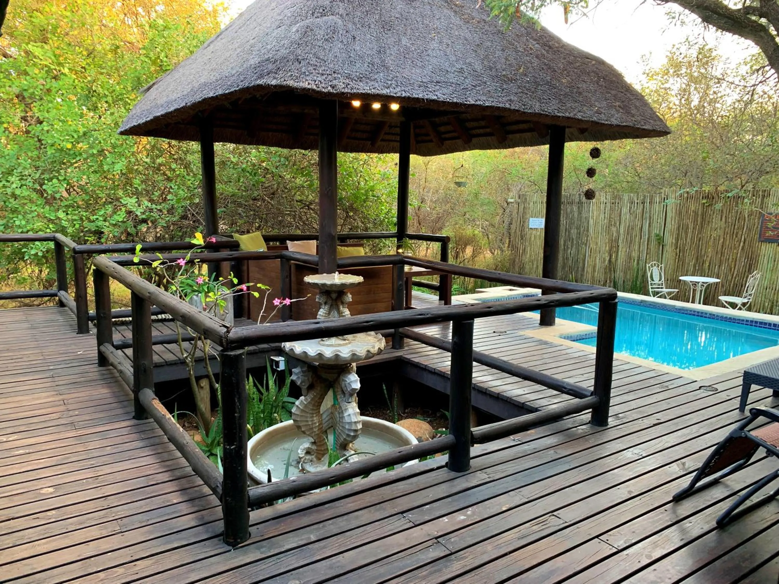 Garden view in Hoedspruit Raptors Lodge N16