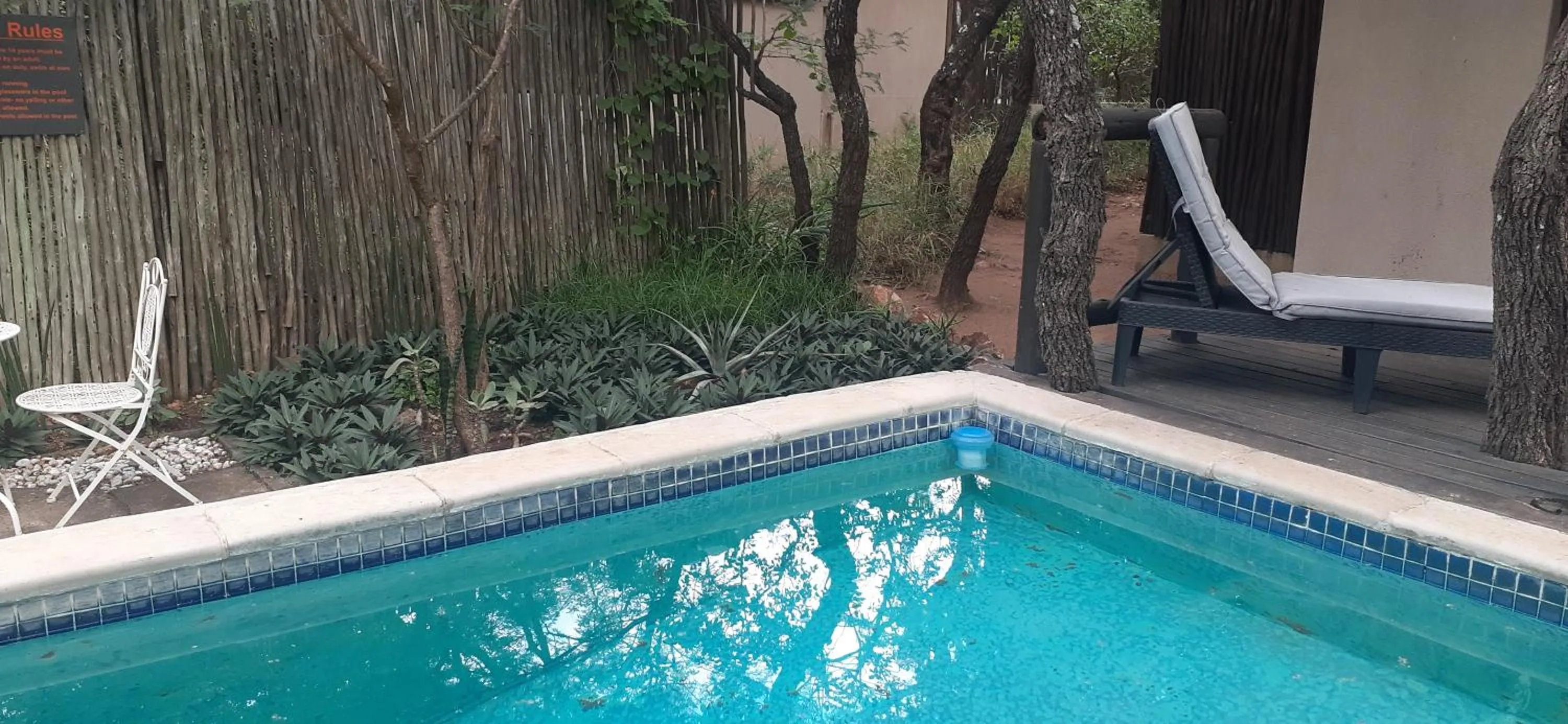 Swimming pool in Hoedspruit Raptors Lodge N16