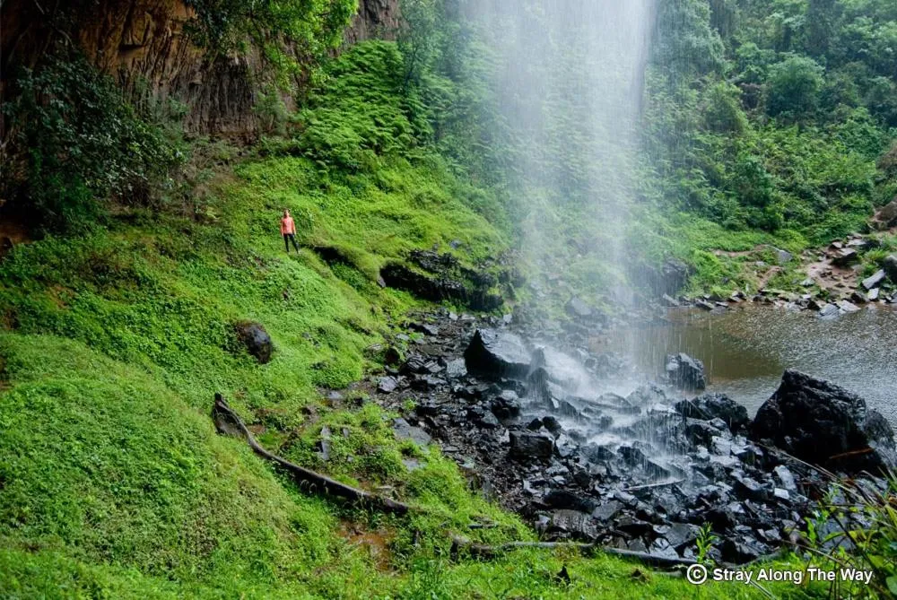 Hoedspruit Raptors Lodge N16