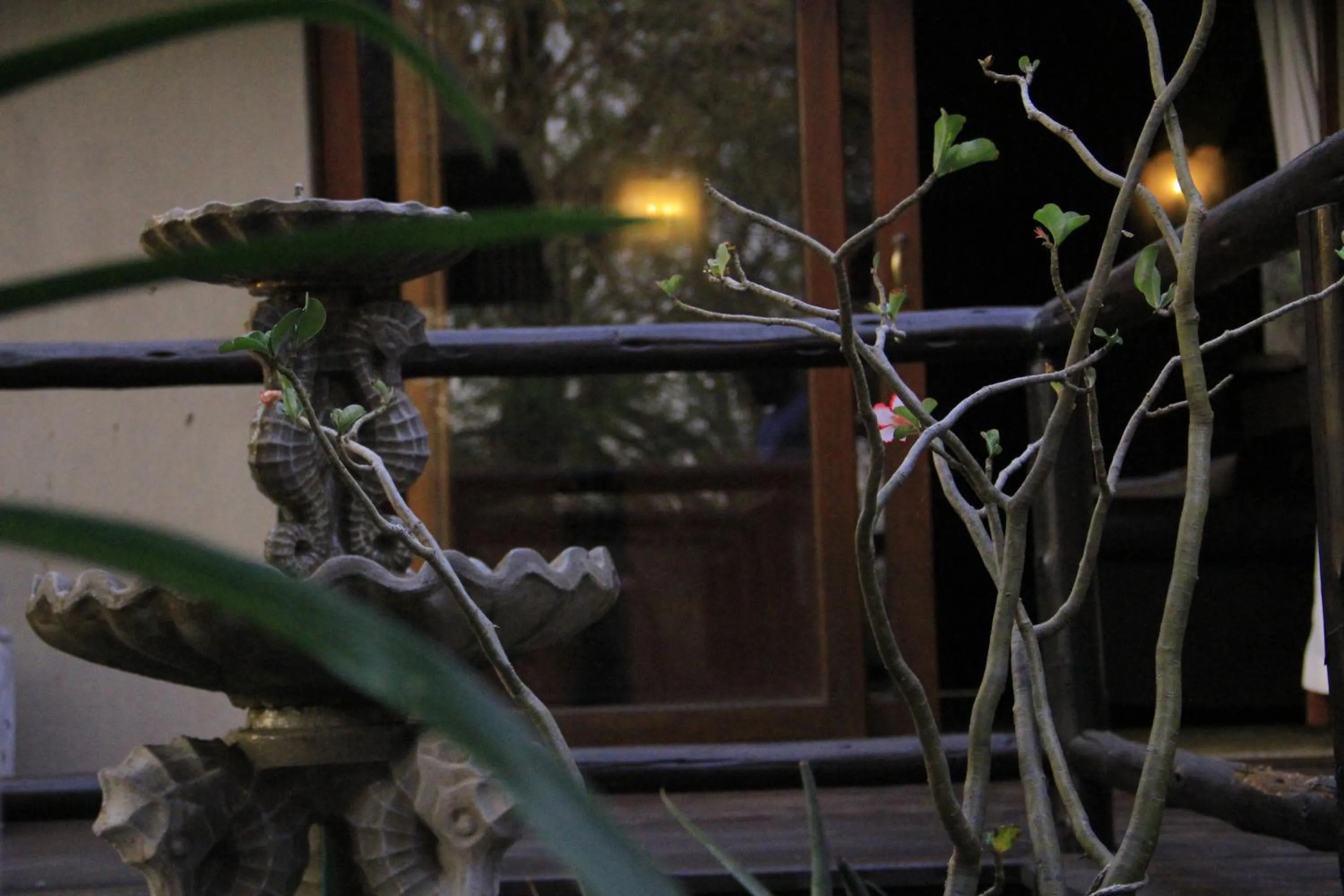 Garden in Hoedspruit Raptors Lodge N16