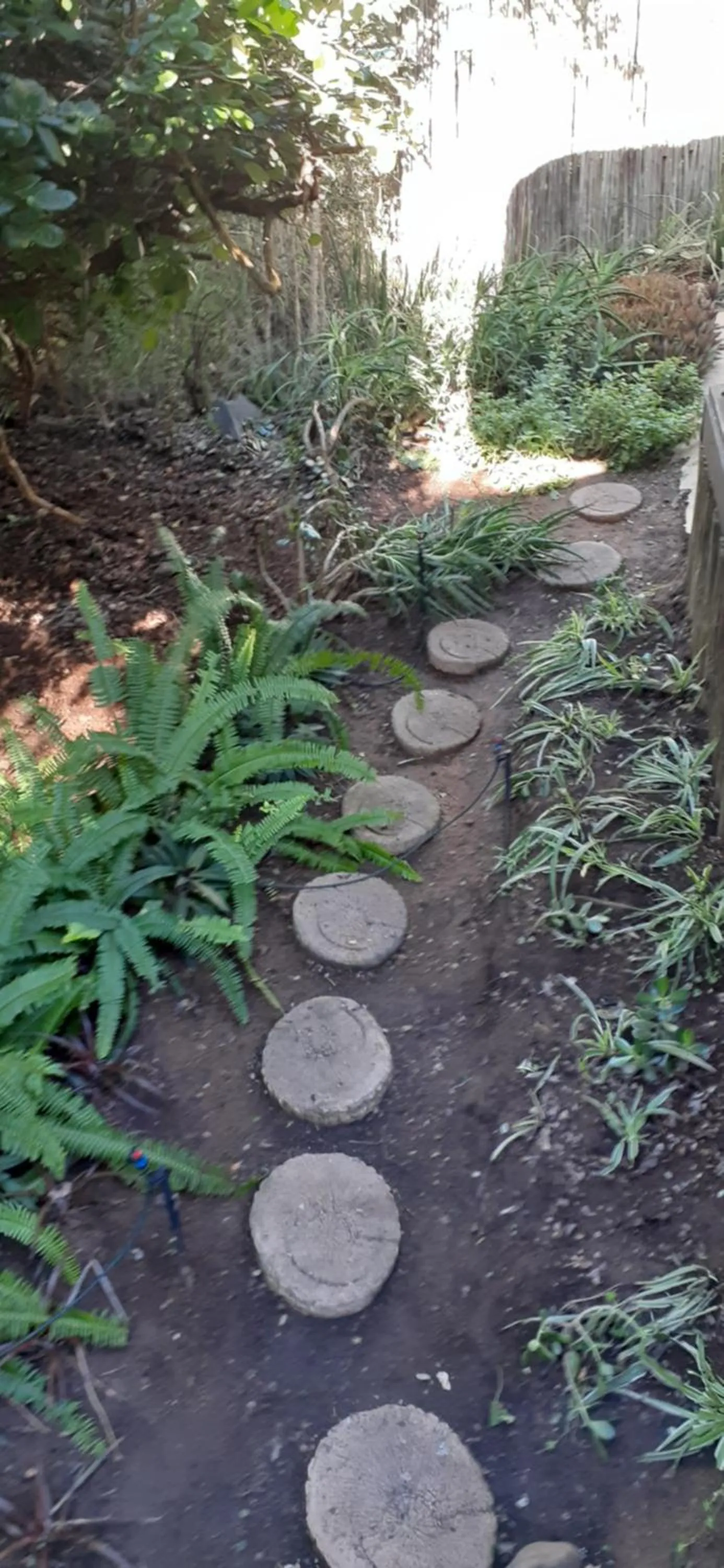 Property building in Hoedspruit Raptors Lodge N16