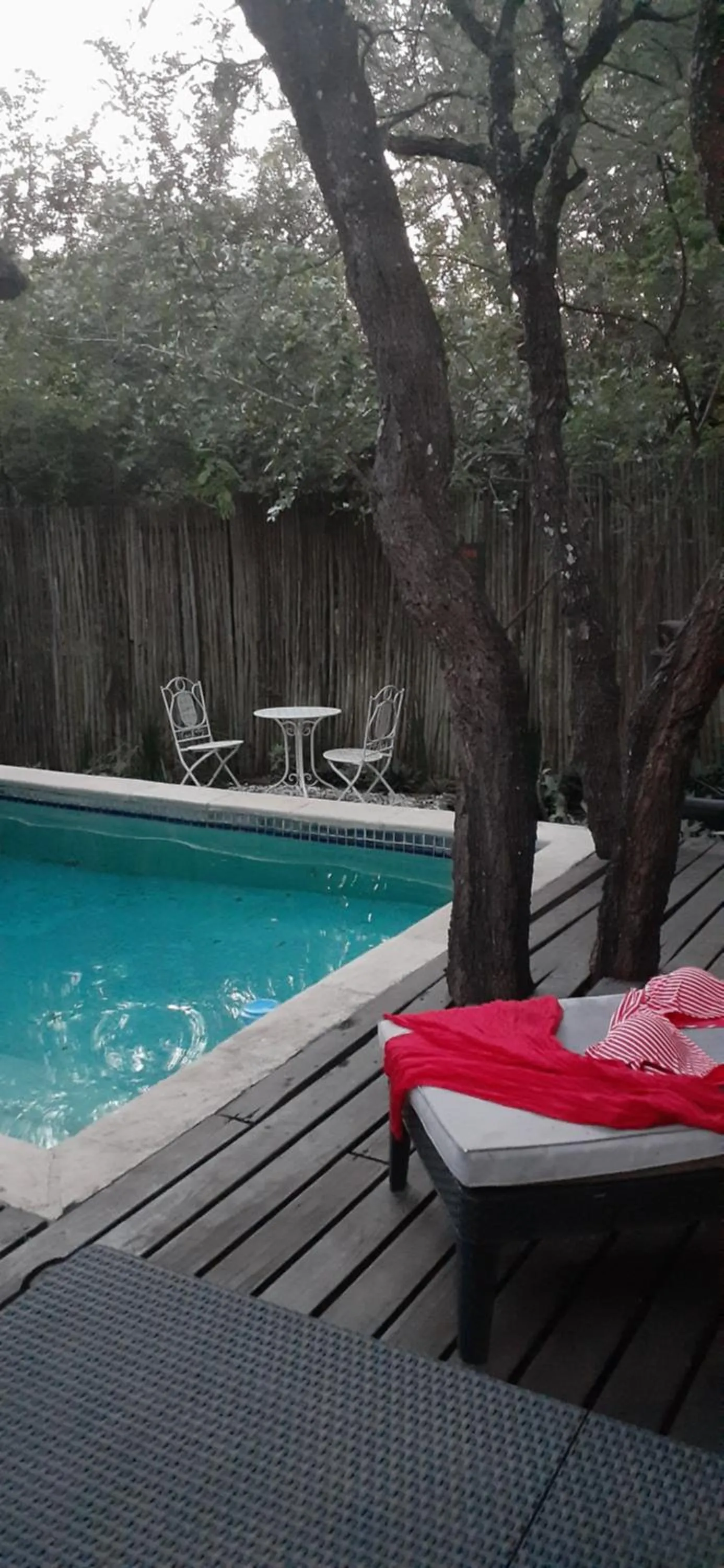 Swimming pool in Hoedspruit Raptors Lodge N16