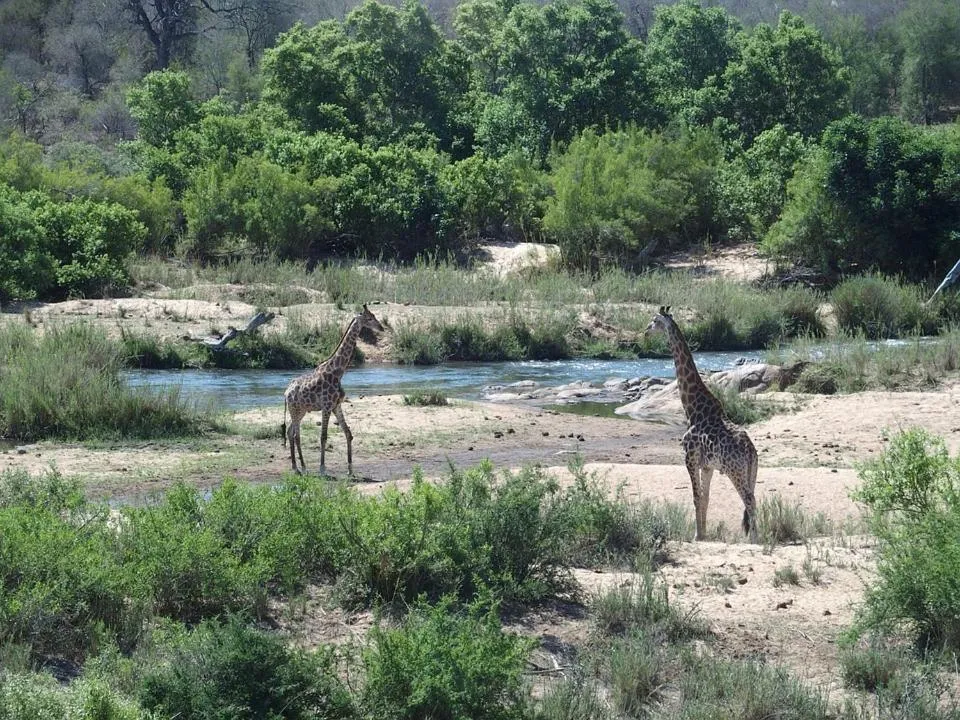 Hoedspruit Raptors Lodge N16