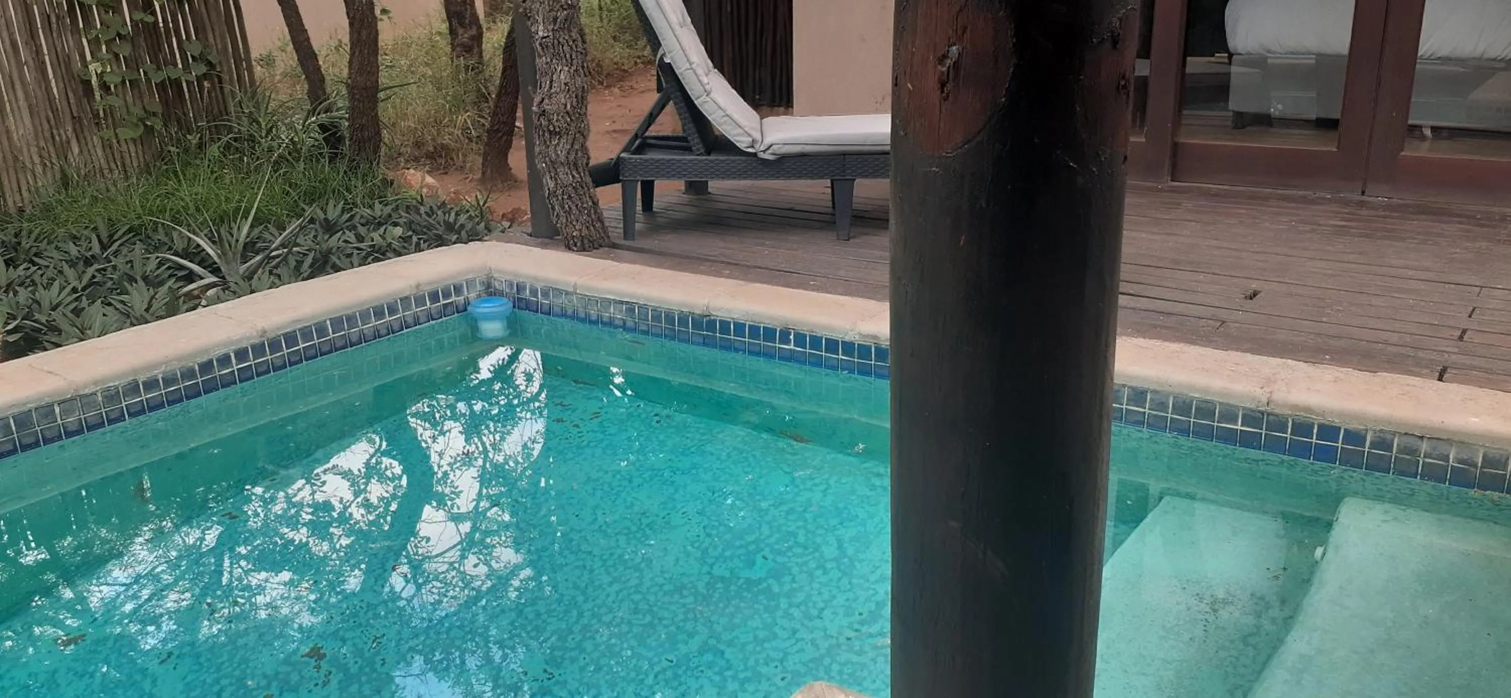 Swimming pool in Hoedspruit Raptors Lodge N16