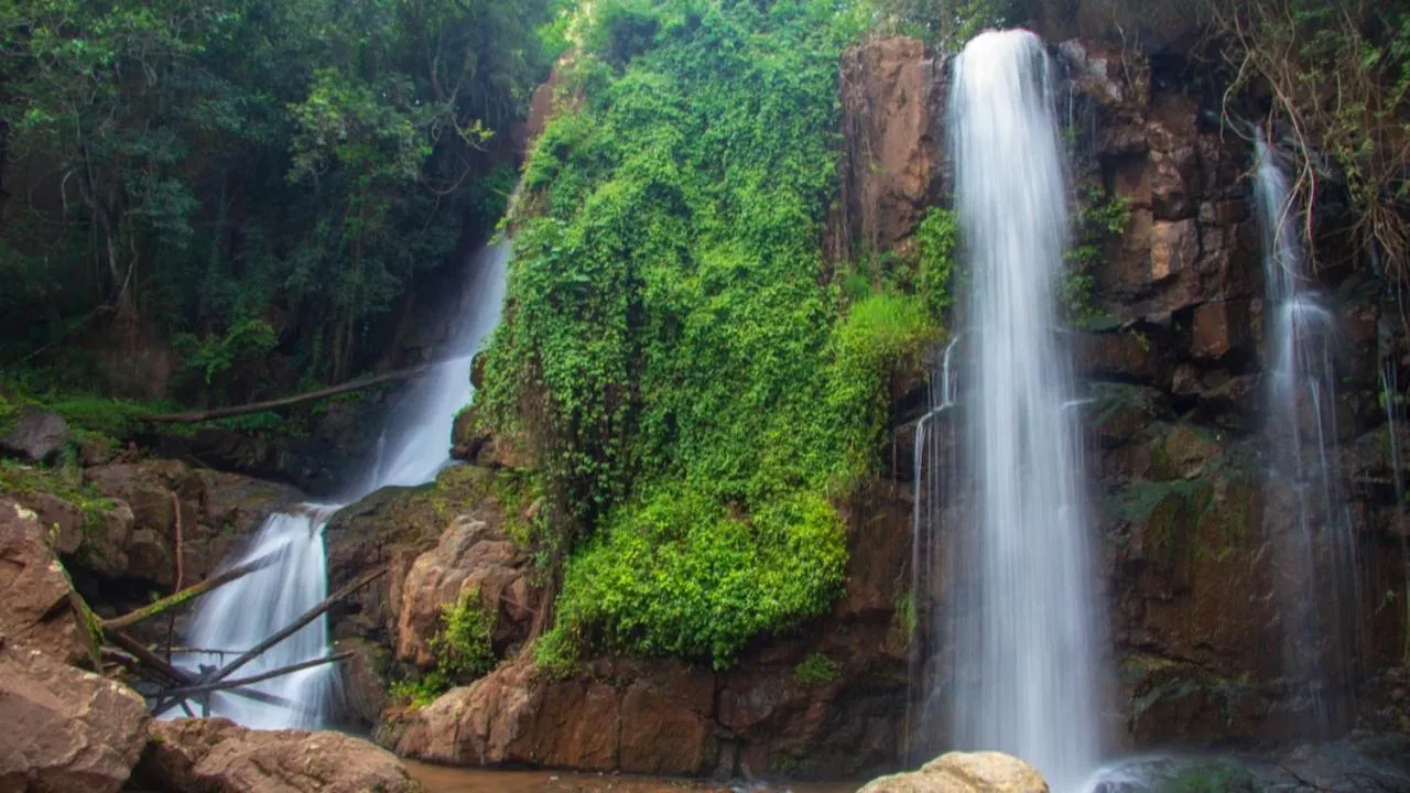 Hoedspruit Raptors Lodge N16