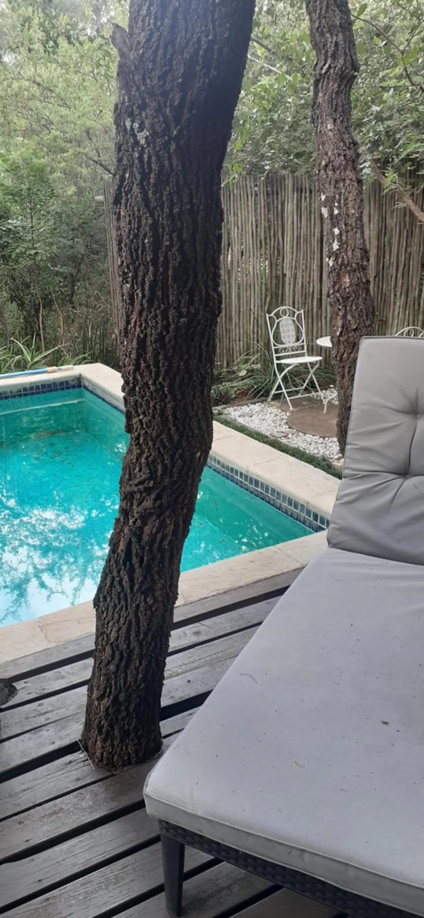 Swimming pool in Hoedspruit Raptors Lodge N16