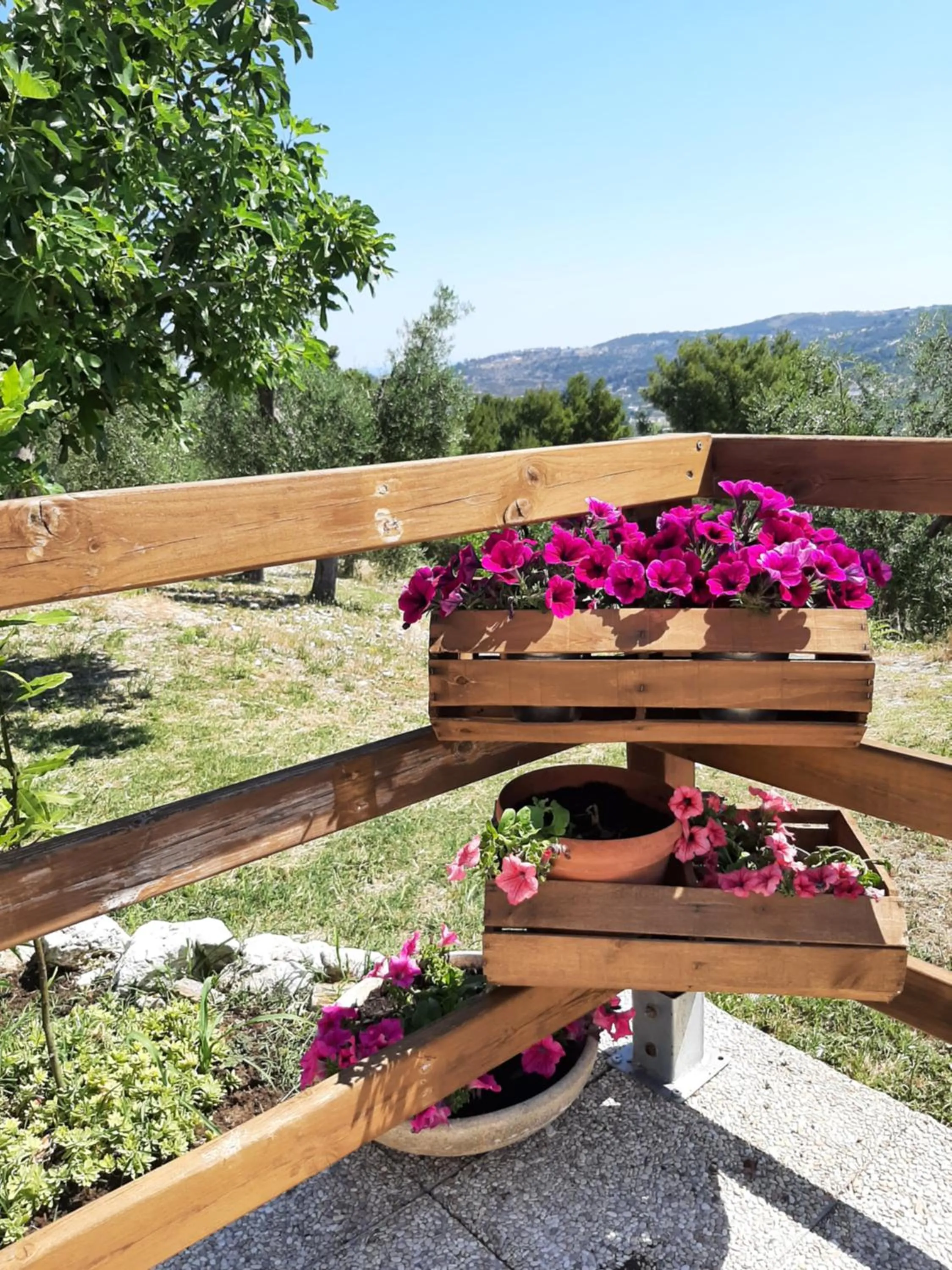 Garden in Osteria B&B Il Rifugio
