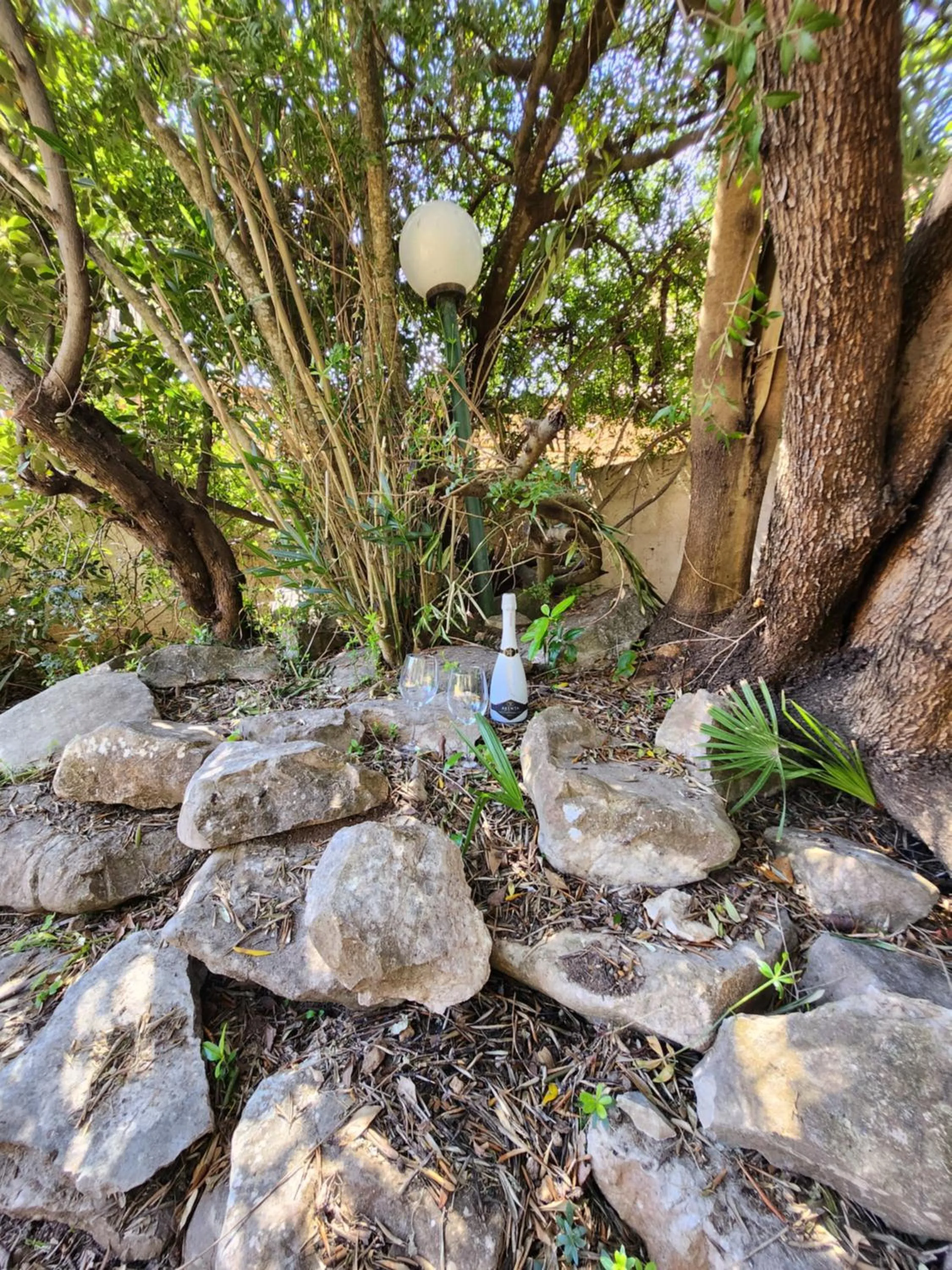 Villa Edera