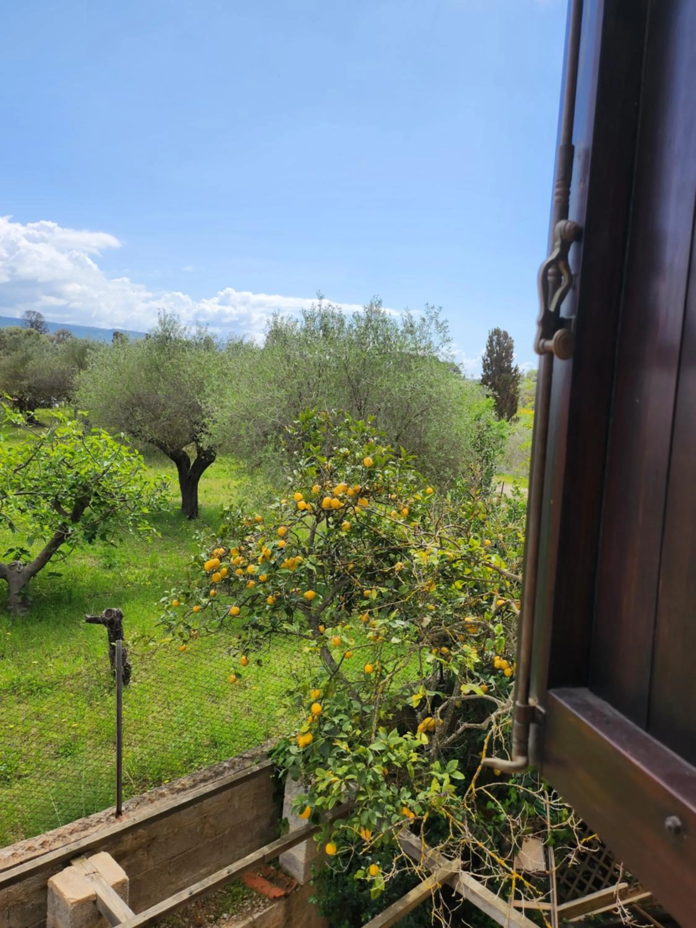 Villa Edera
