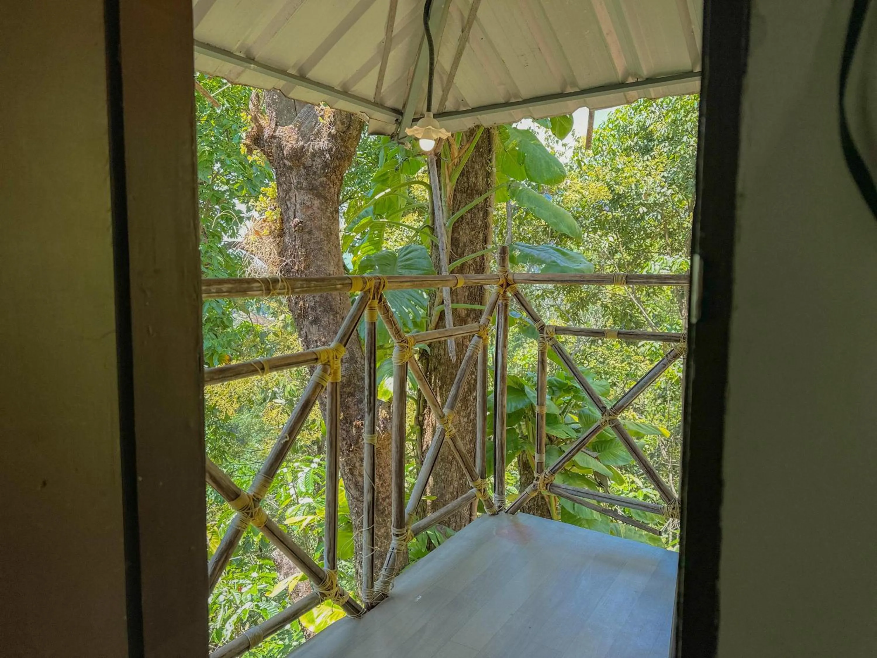 Natural landscape in The Heights Munnar