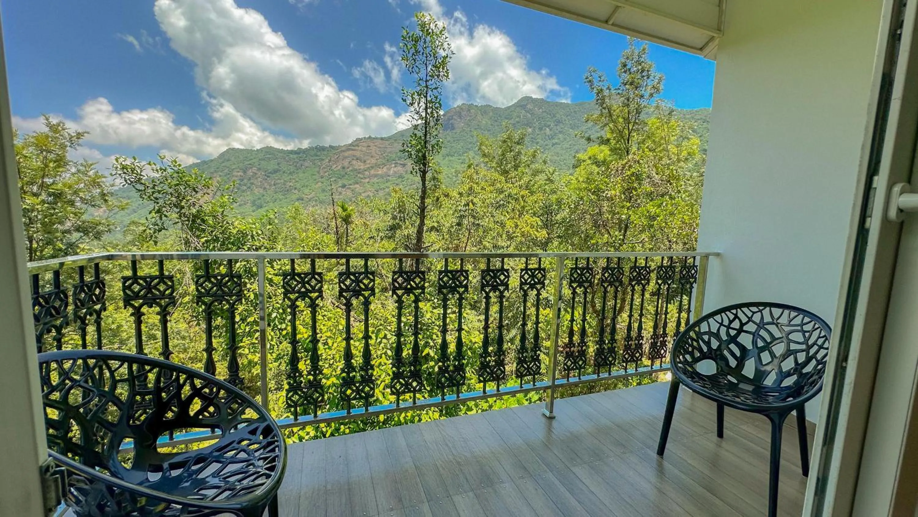 Day in The Heights Munnar