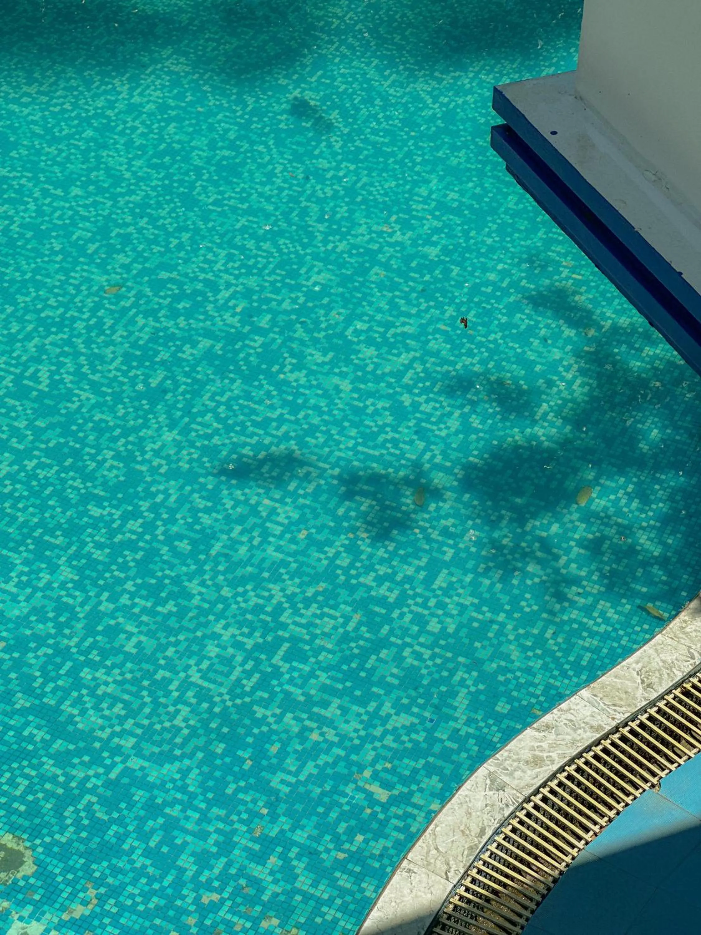Pool view in The Heights Munnar