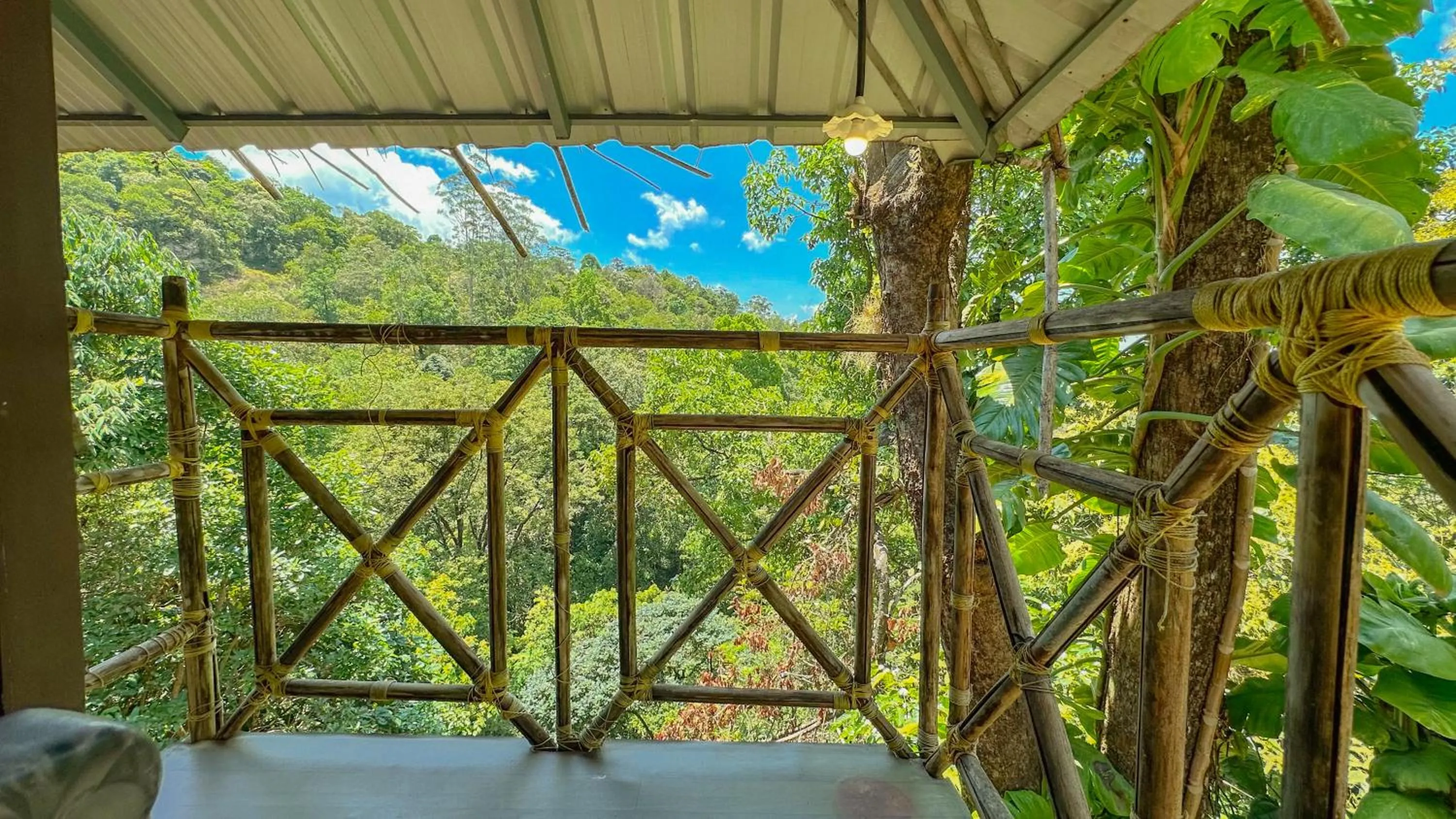 View (from property/room) in The Heights Munnar