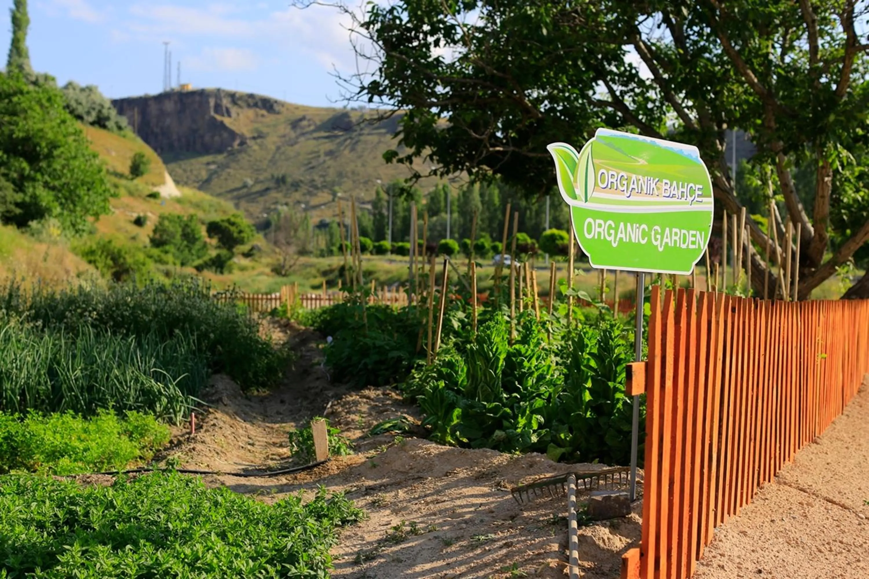 Natural landscape in Kapadokya Hill Hotel & Spa (12+)