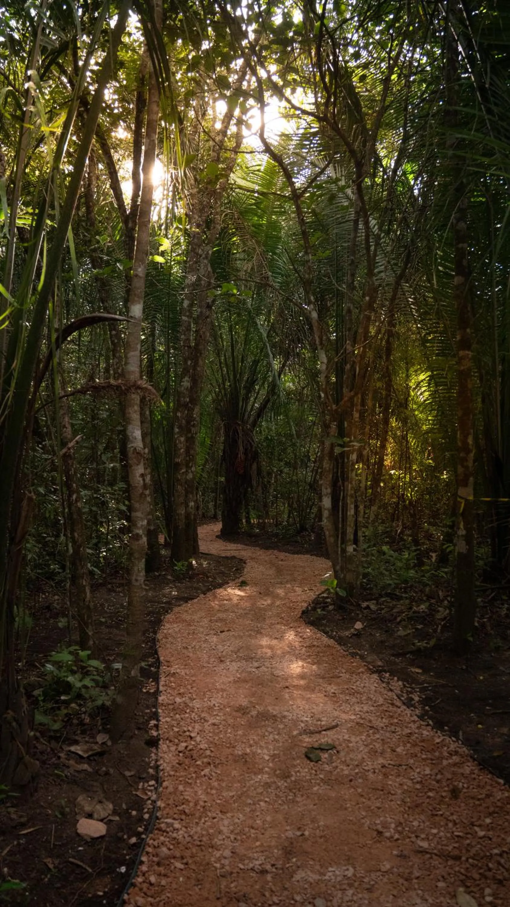 Natural landscape in Villa Ecco Cubo