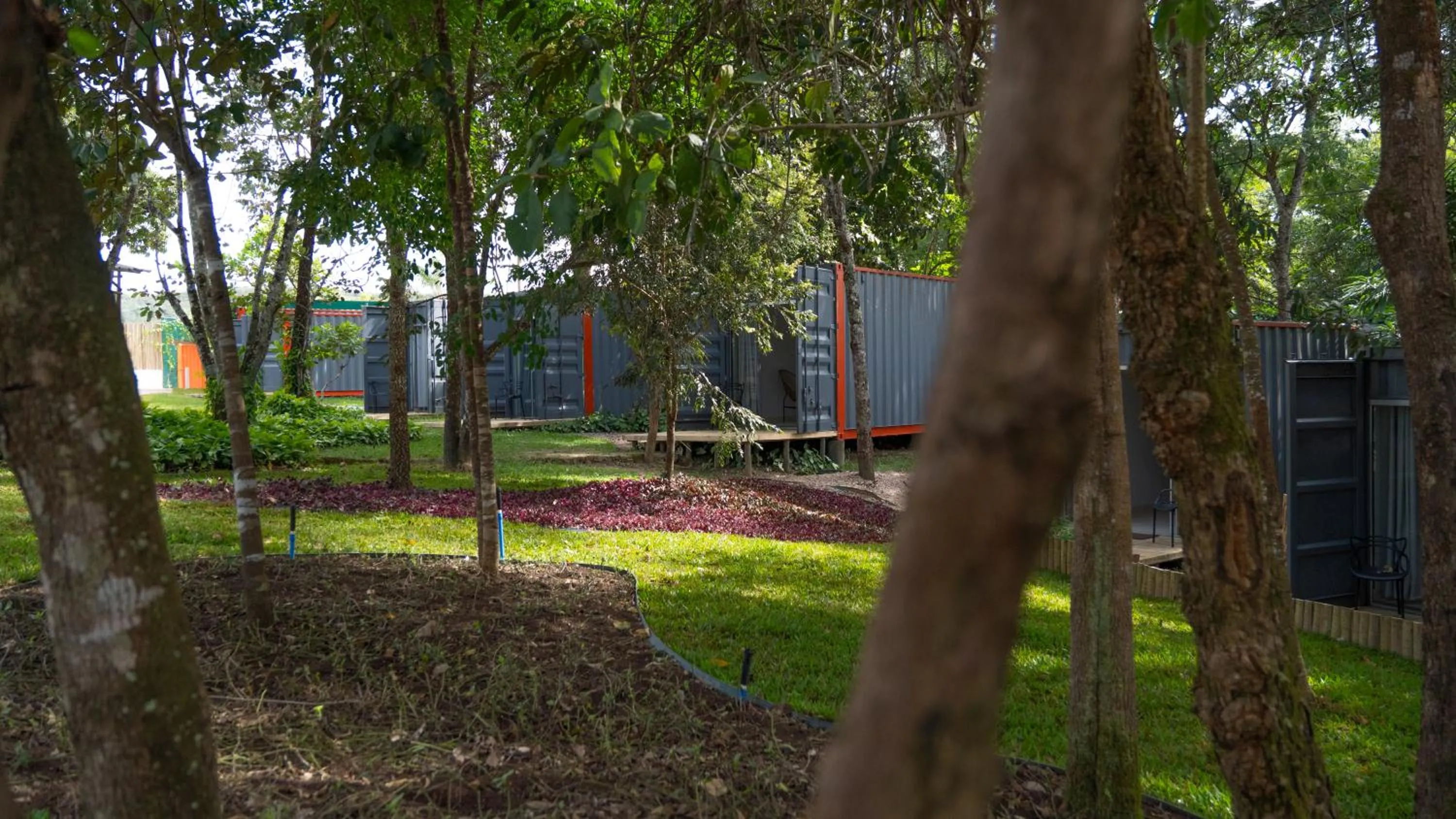 Garden in Villa Ecco Cubo