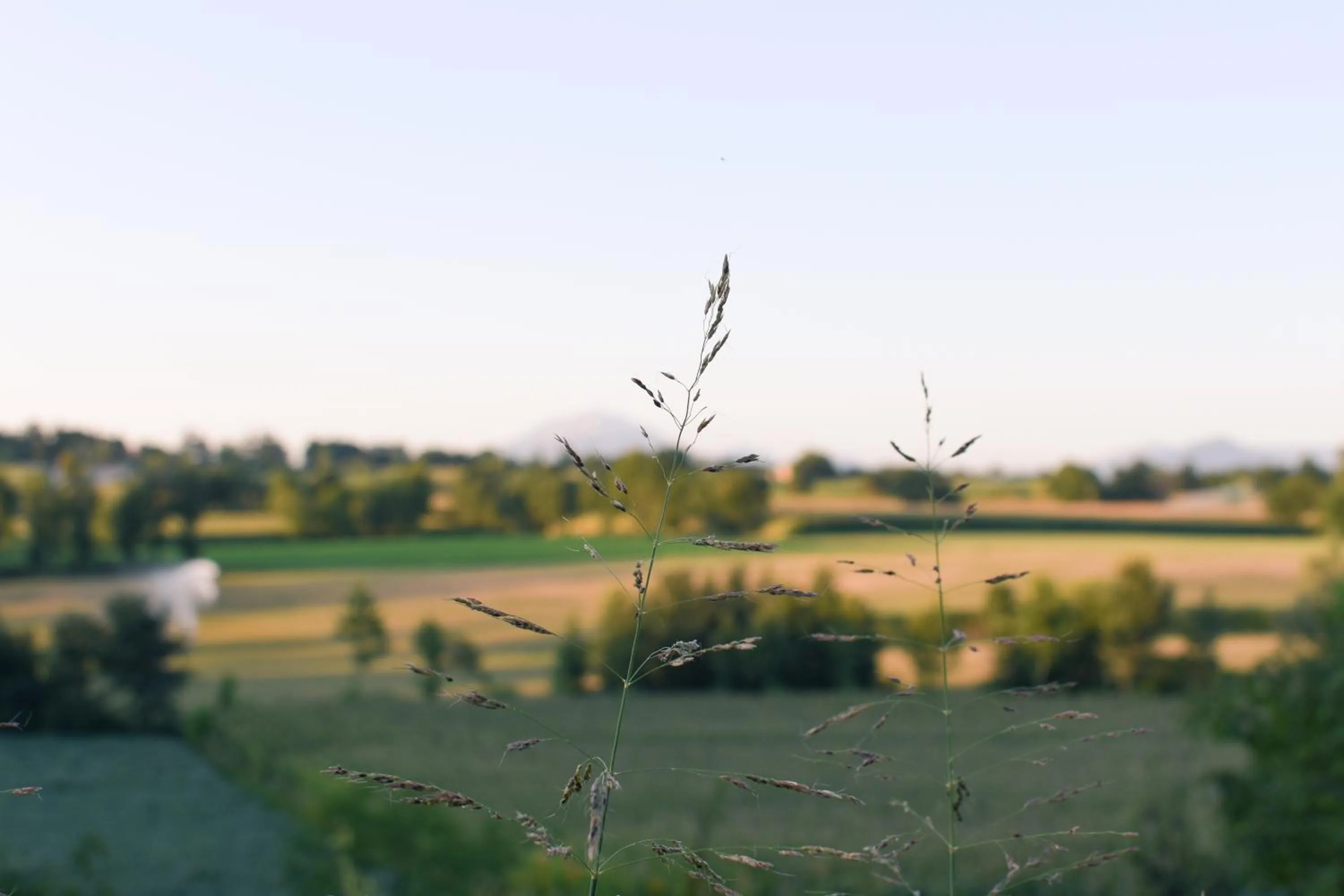 Natural landscape in La Piana