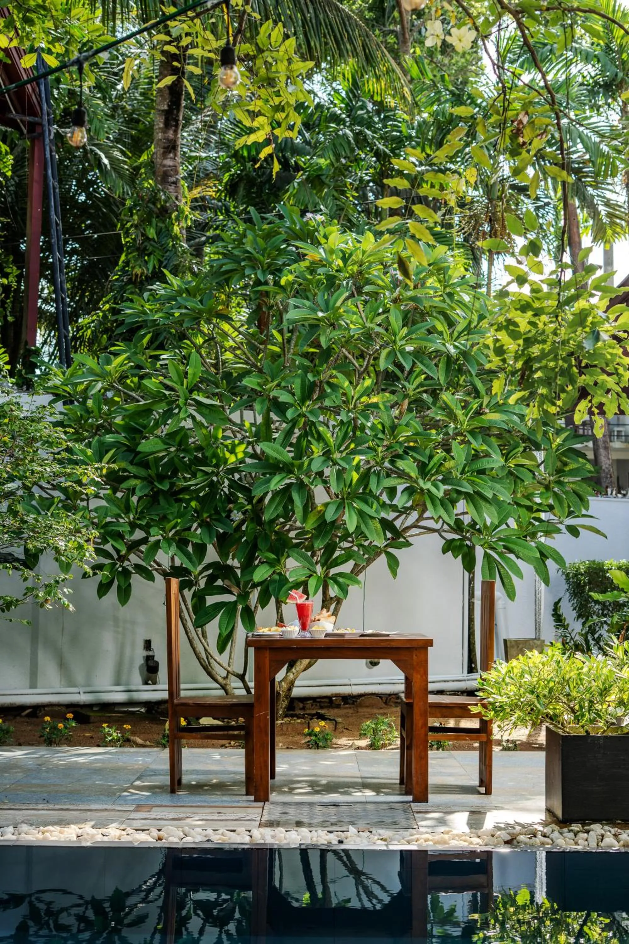 Garden in Villa Red Lobster