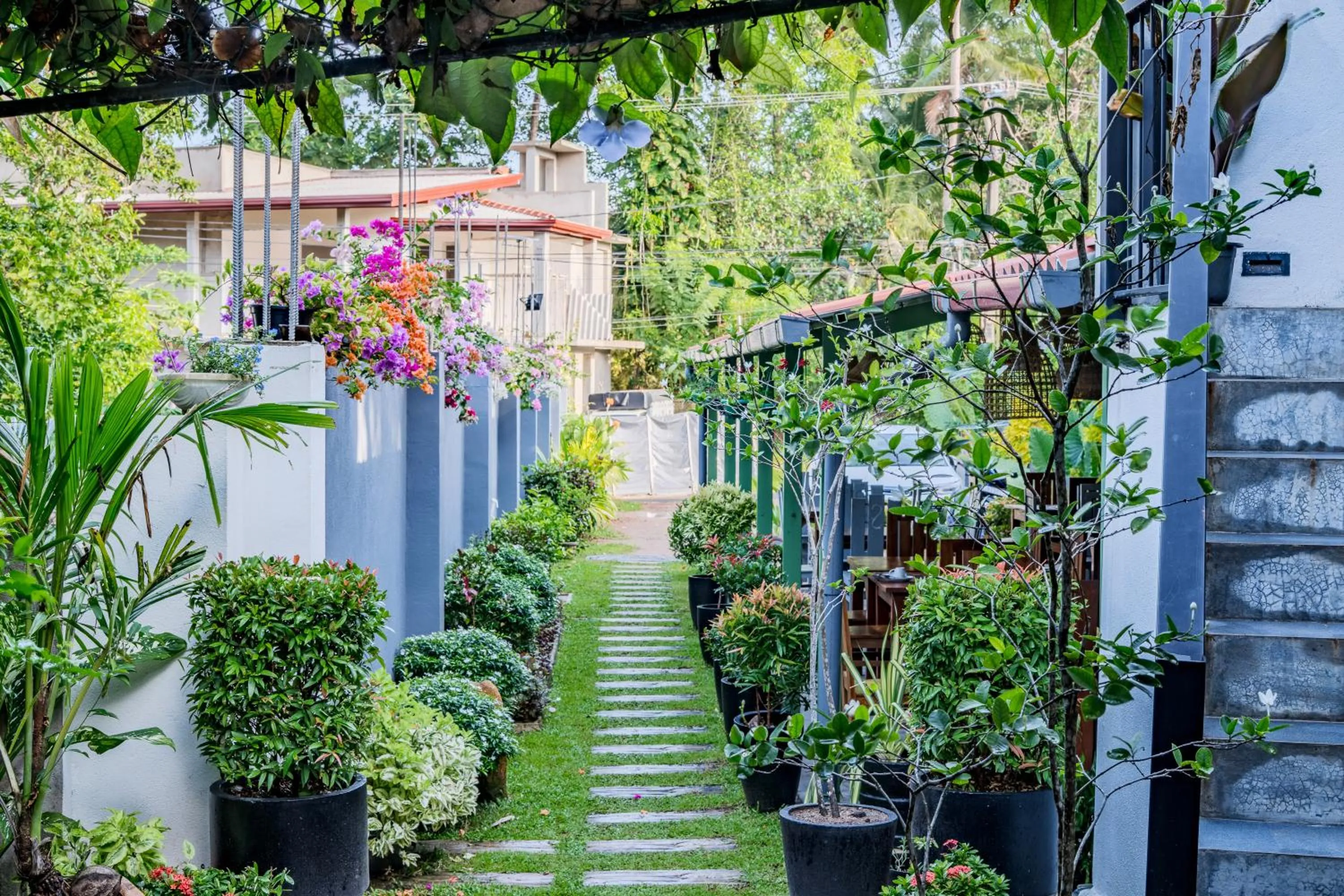 Garden view in Villa Red Lobster