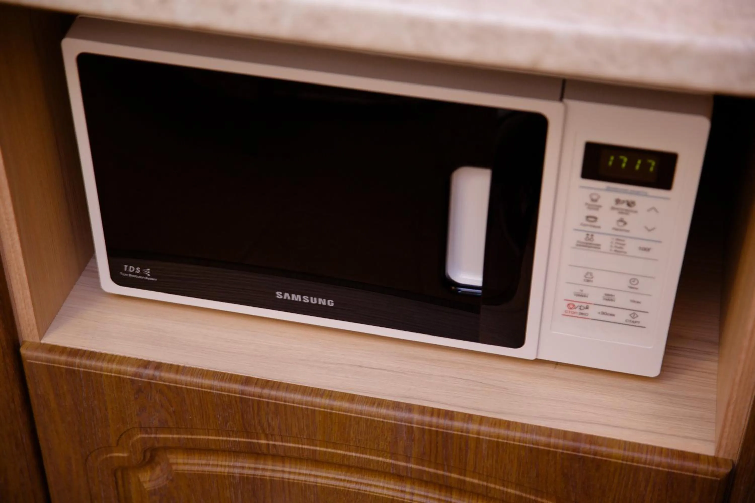 Kitchen or kitchenette in APART-HOTEL VEGUS