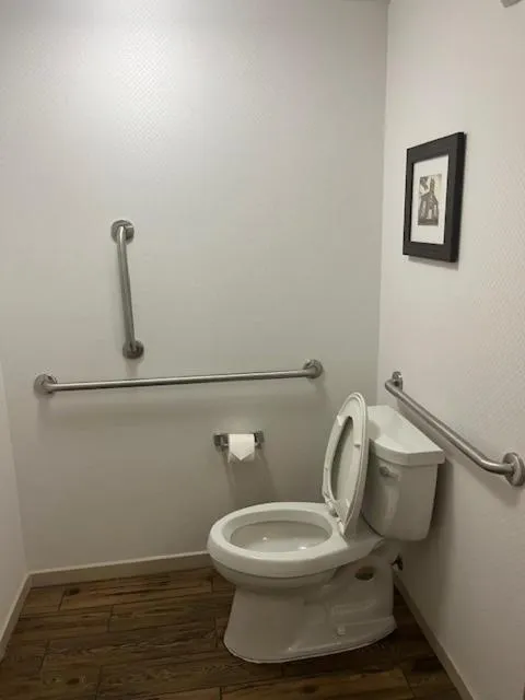 Toilet in Hampton Inn and Suites Fort Mill, SC