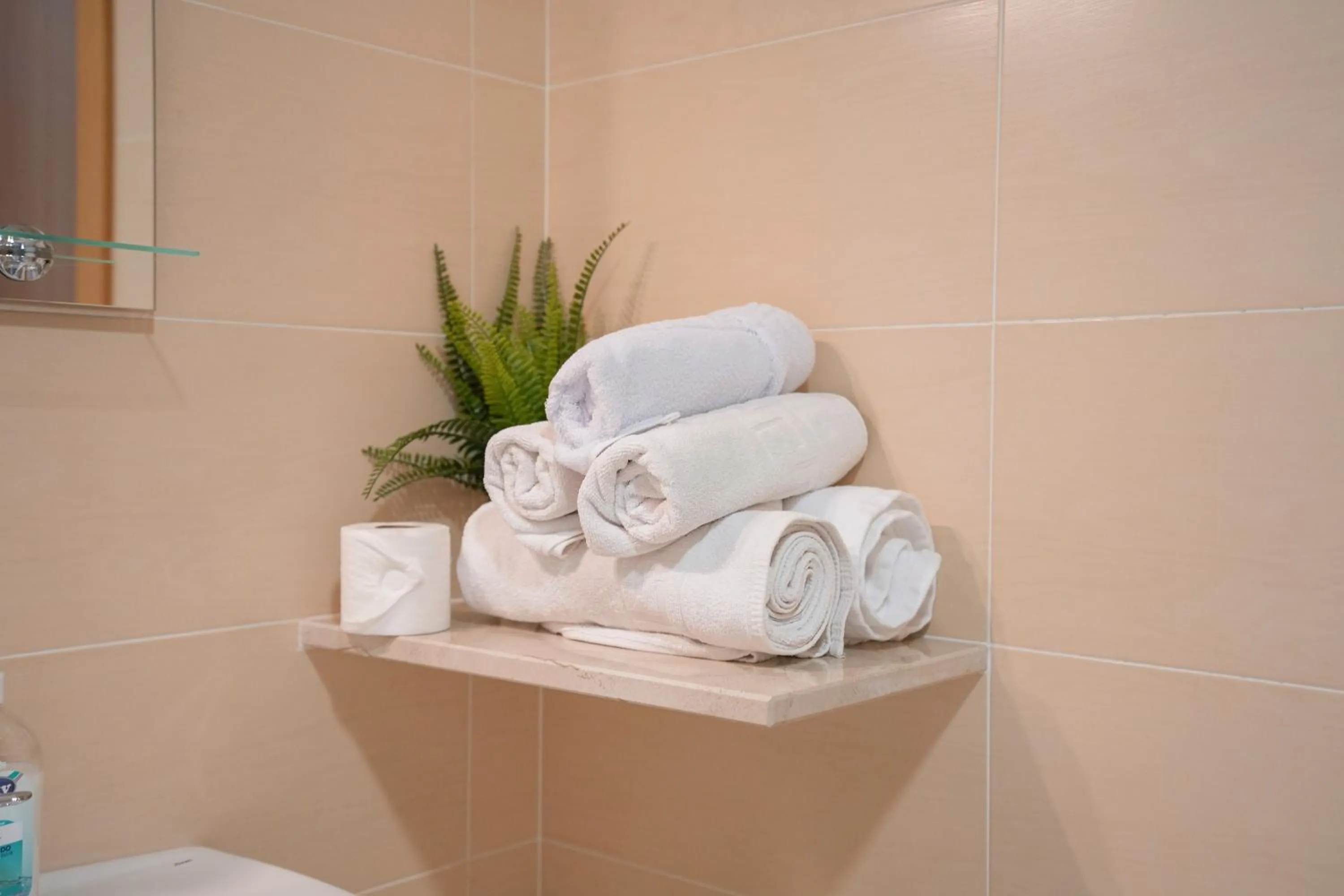 Bathroom in Hotel Caravaca Resort