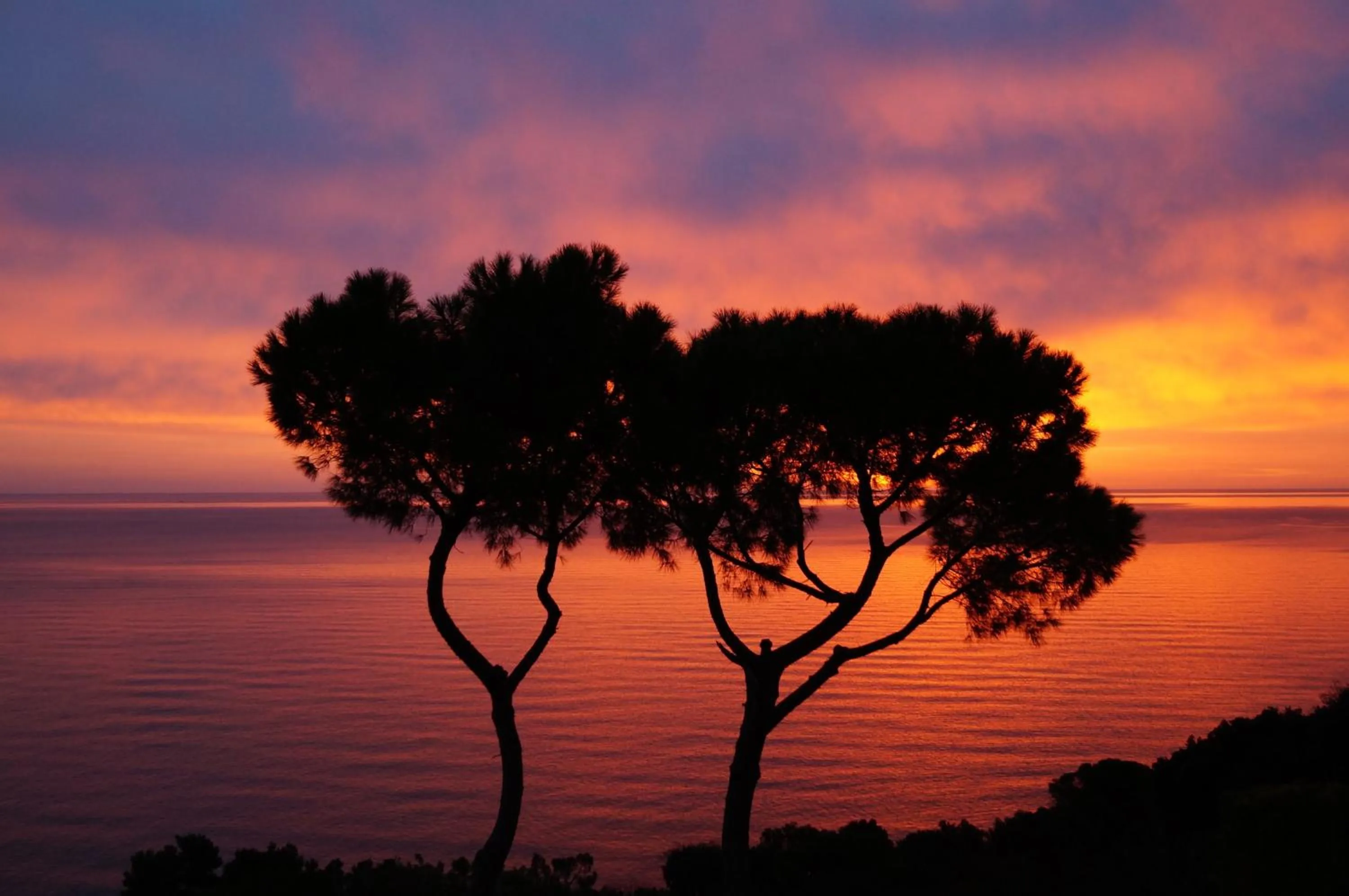 Natural landscape in Sea View Sirolo di Amedeo