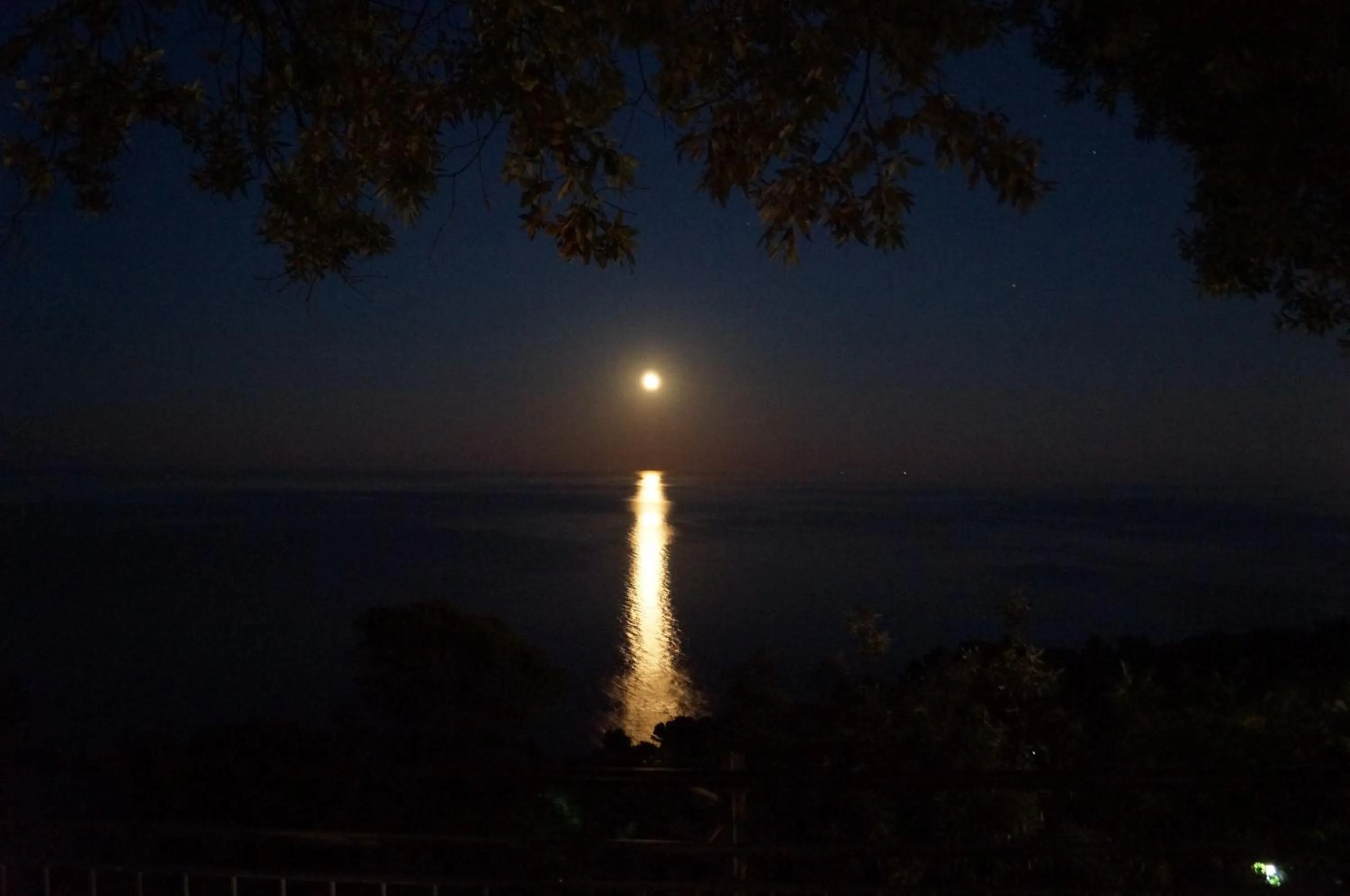 Natural landscape in Sea View Sirolo di Amedeo