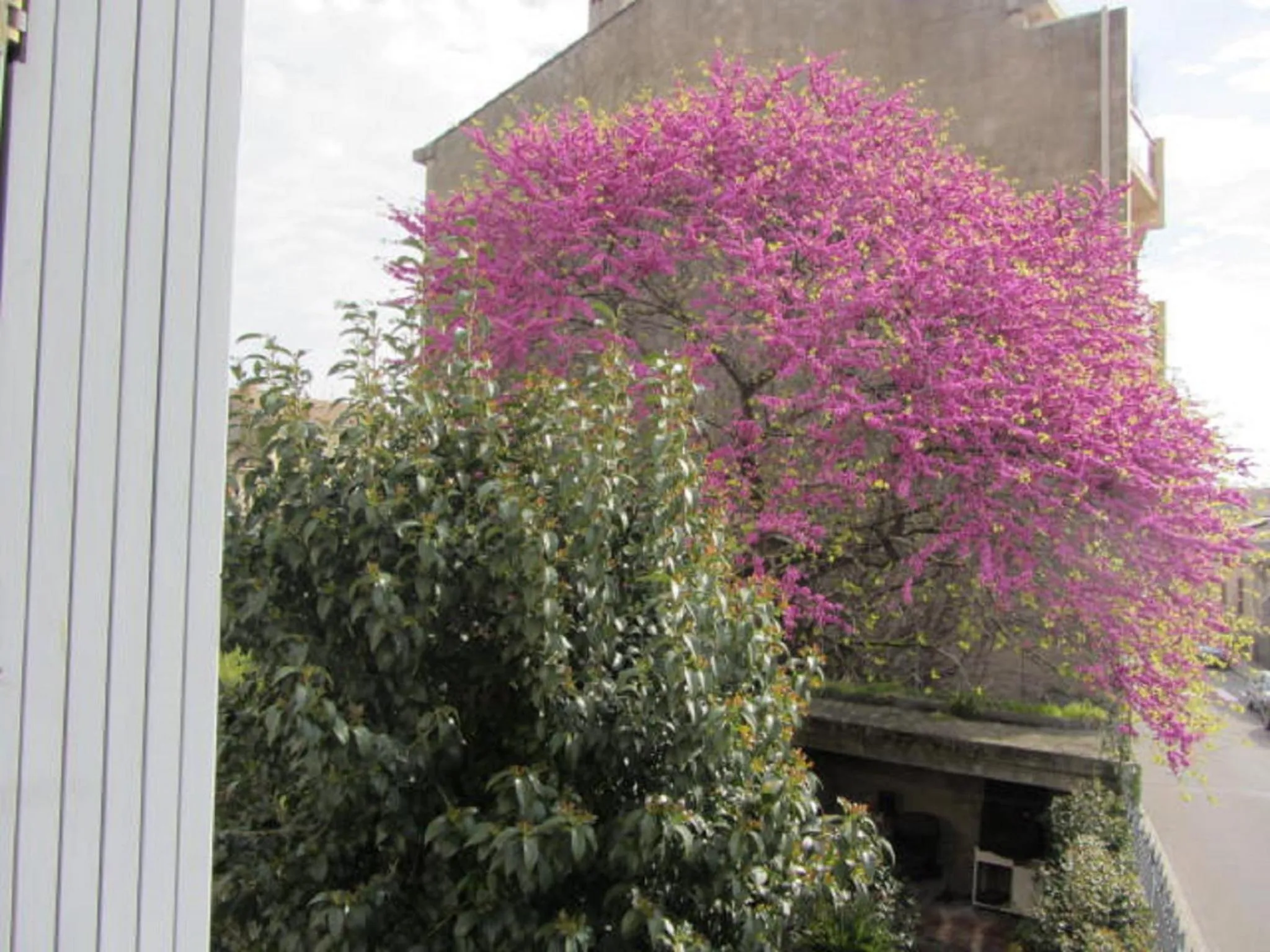 Garden in Aude Cité-City