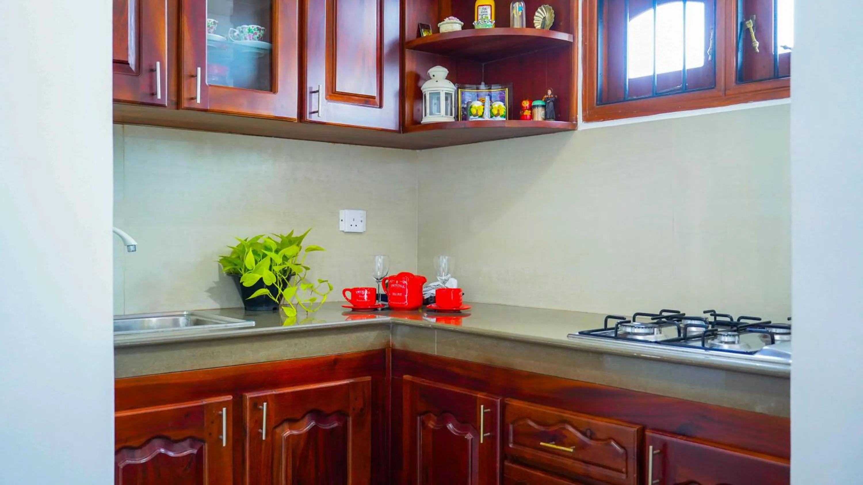 Kitchen or kitchenette in Serene Villa Airport Transit
