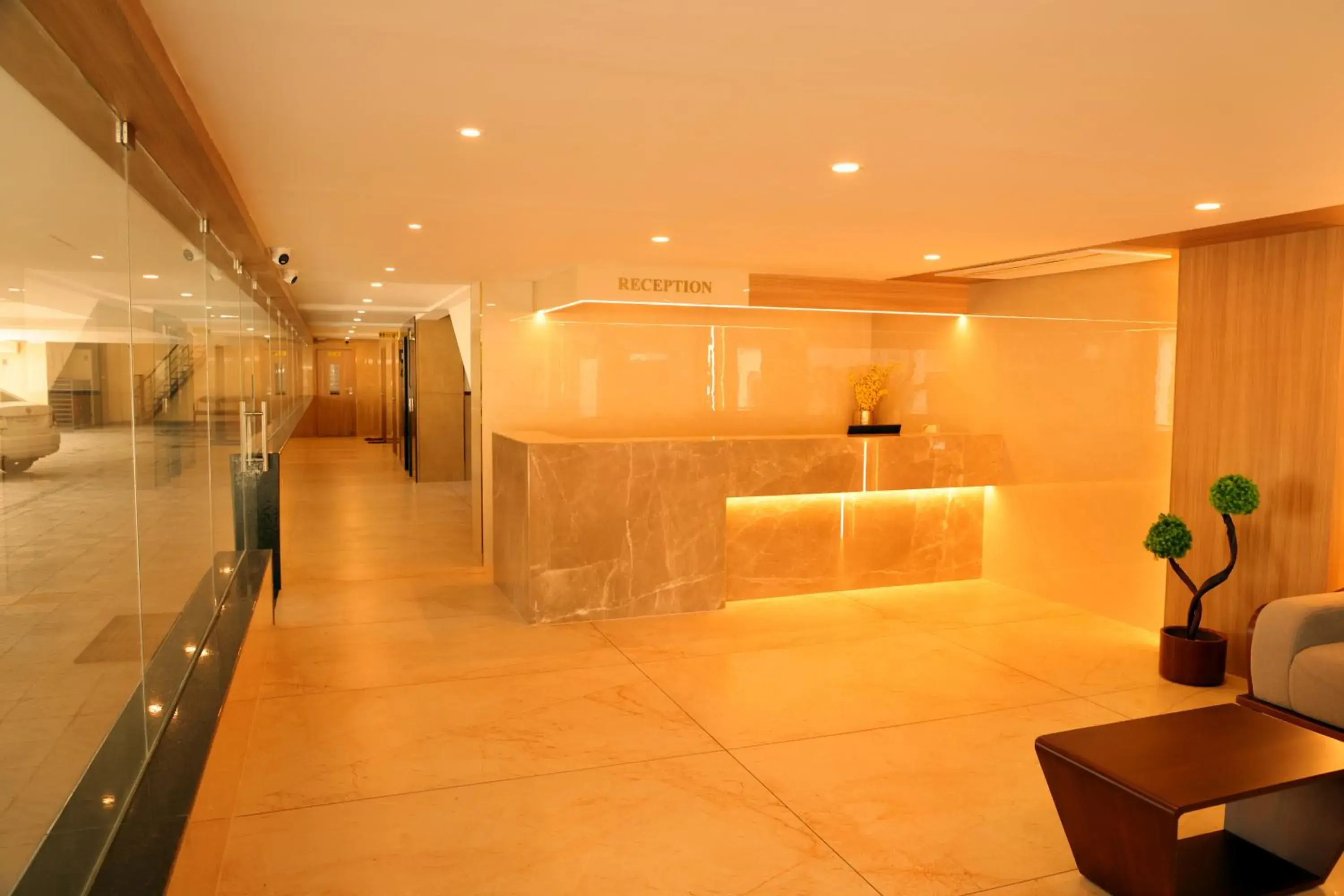 Lobby or reception in Hotel Le Palace Lobby or reception in Hotel Le Palace