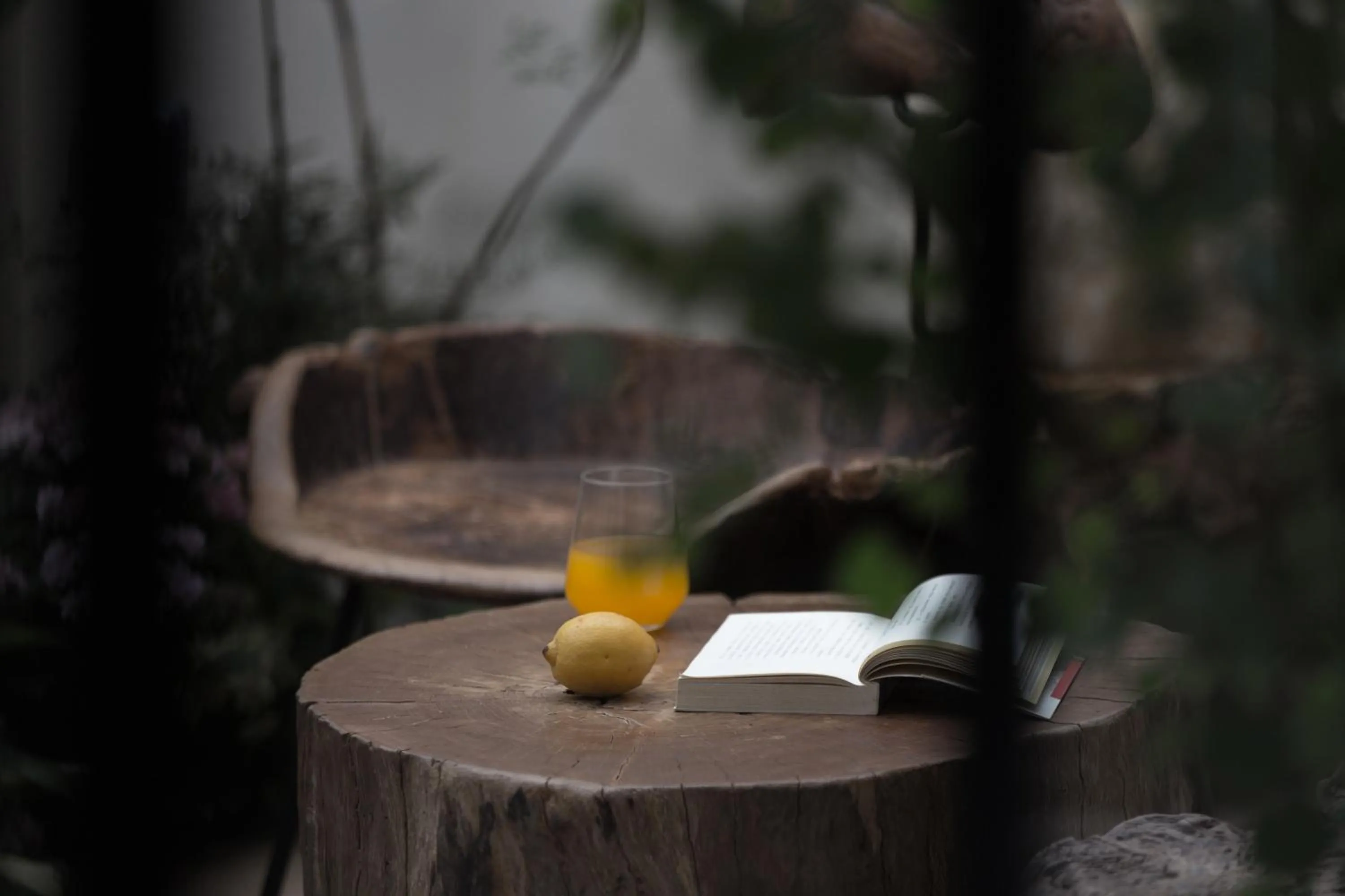 Garden in SIXI Conglu Design Aesthetics Hotel