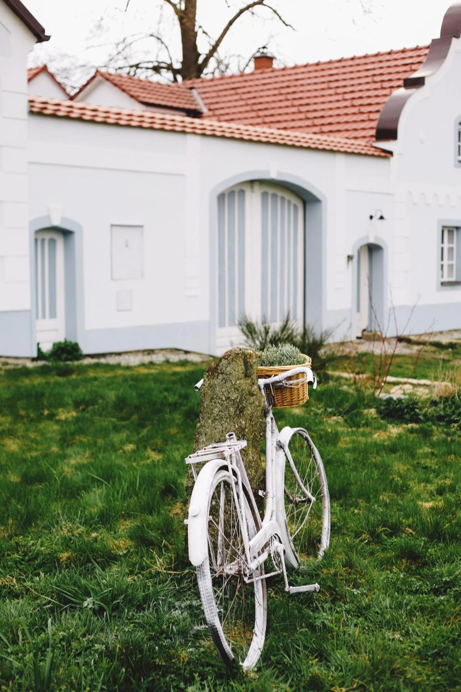 Property building in Matějovec38