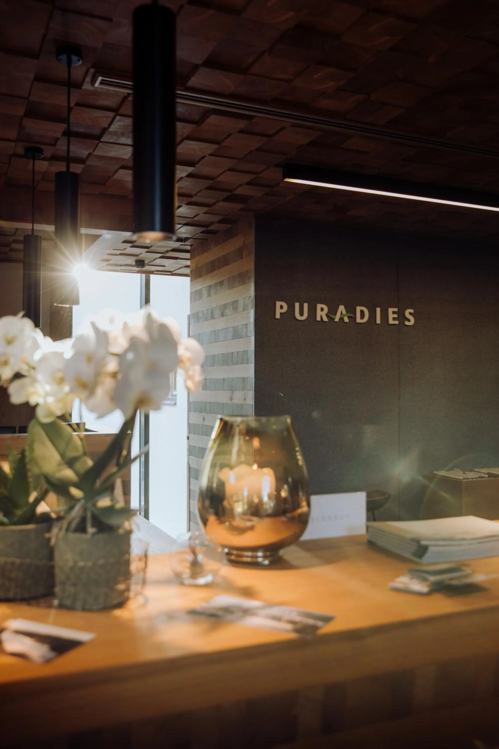 Lobby or reception in Naturresort PURADIES