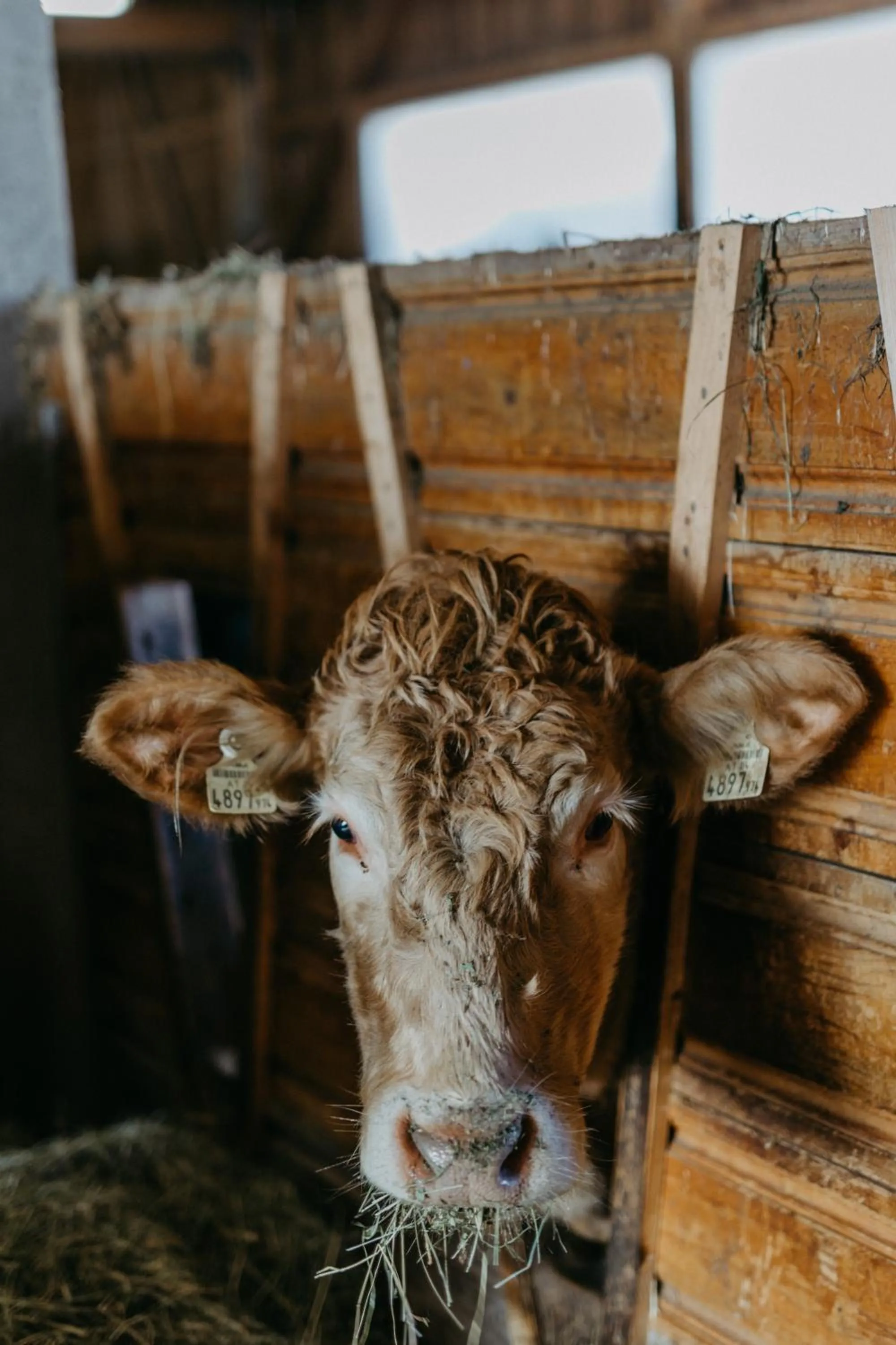 Children play ground in Naturresort PURADIES