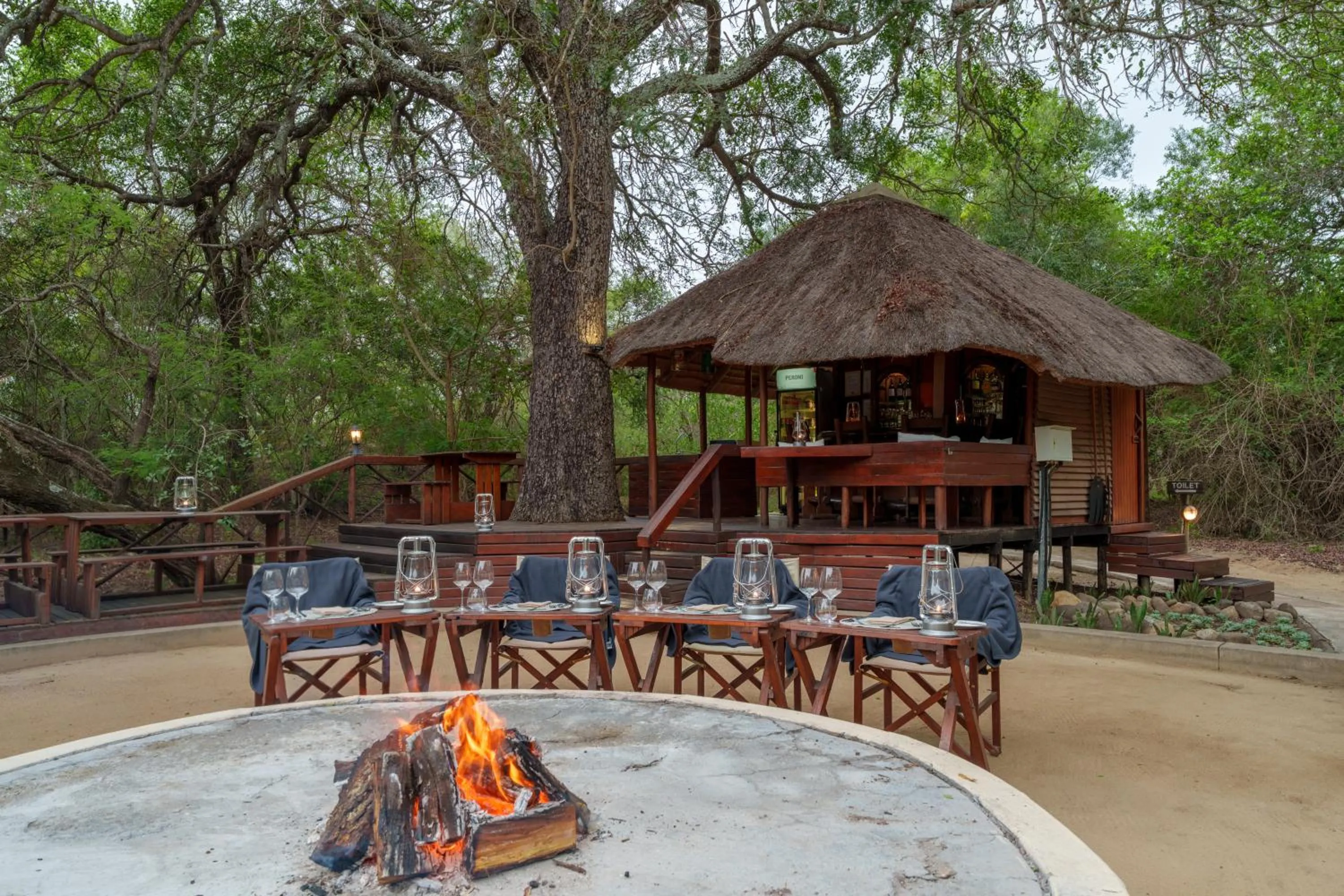 Lion Tree Top Lodge