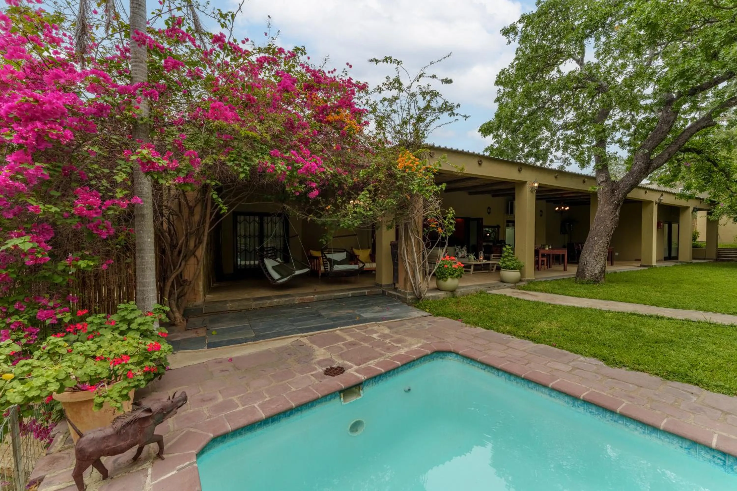 Lion Tree Top Lodge