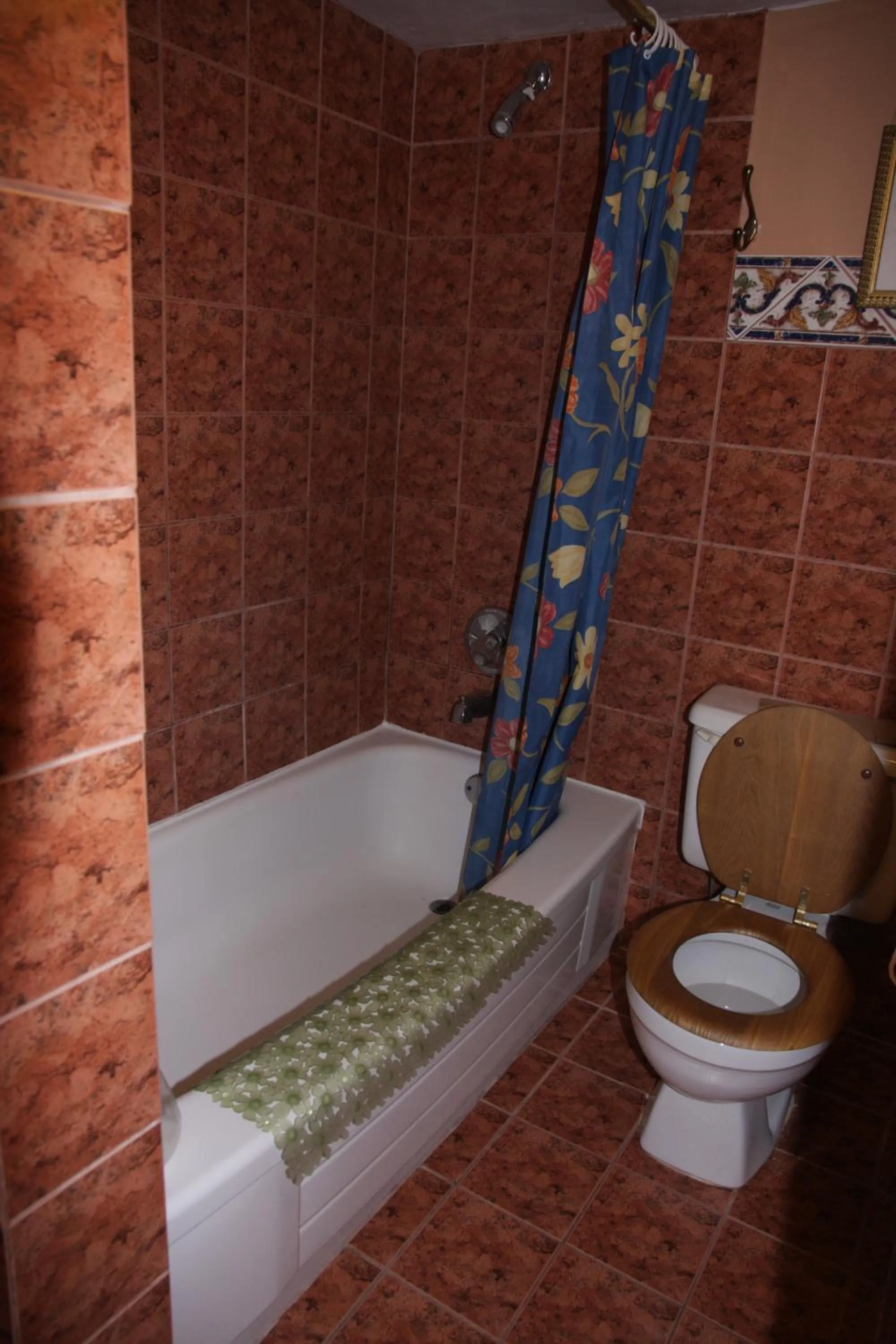 Bathroom in O'Brien House