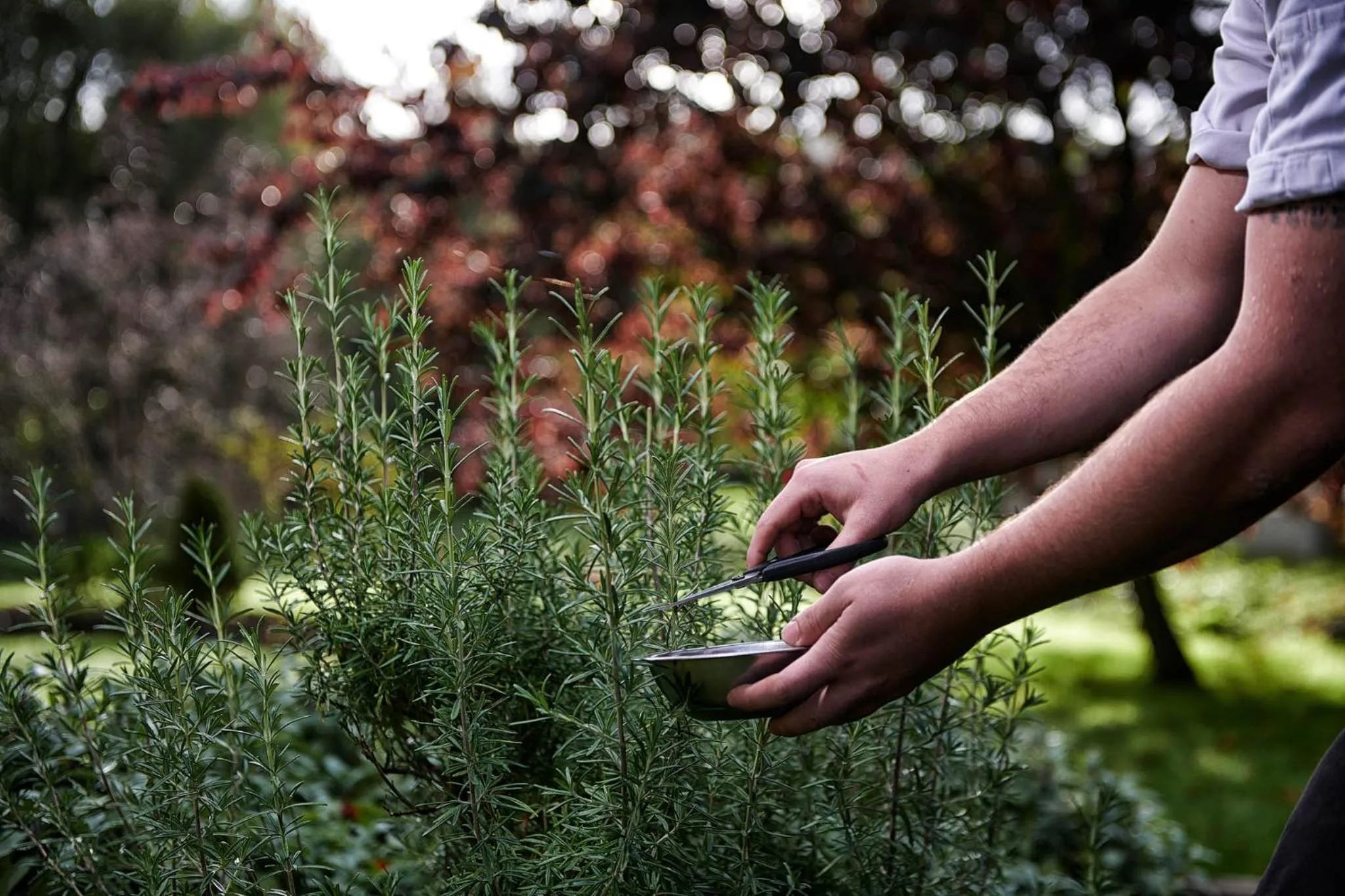 Garden view in Devonshire Arms at Beeley - Chatsworth